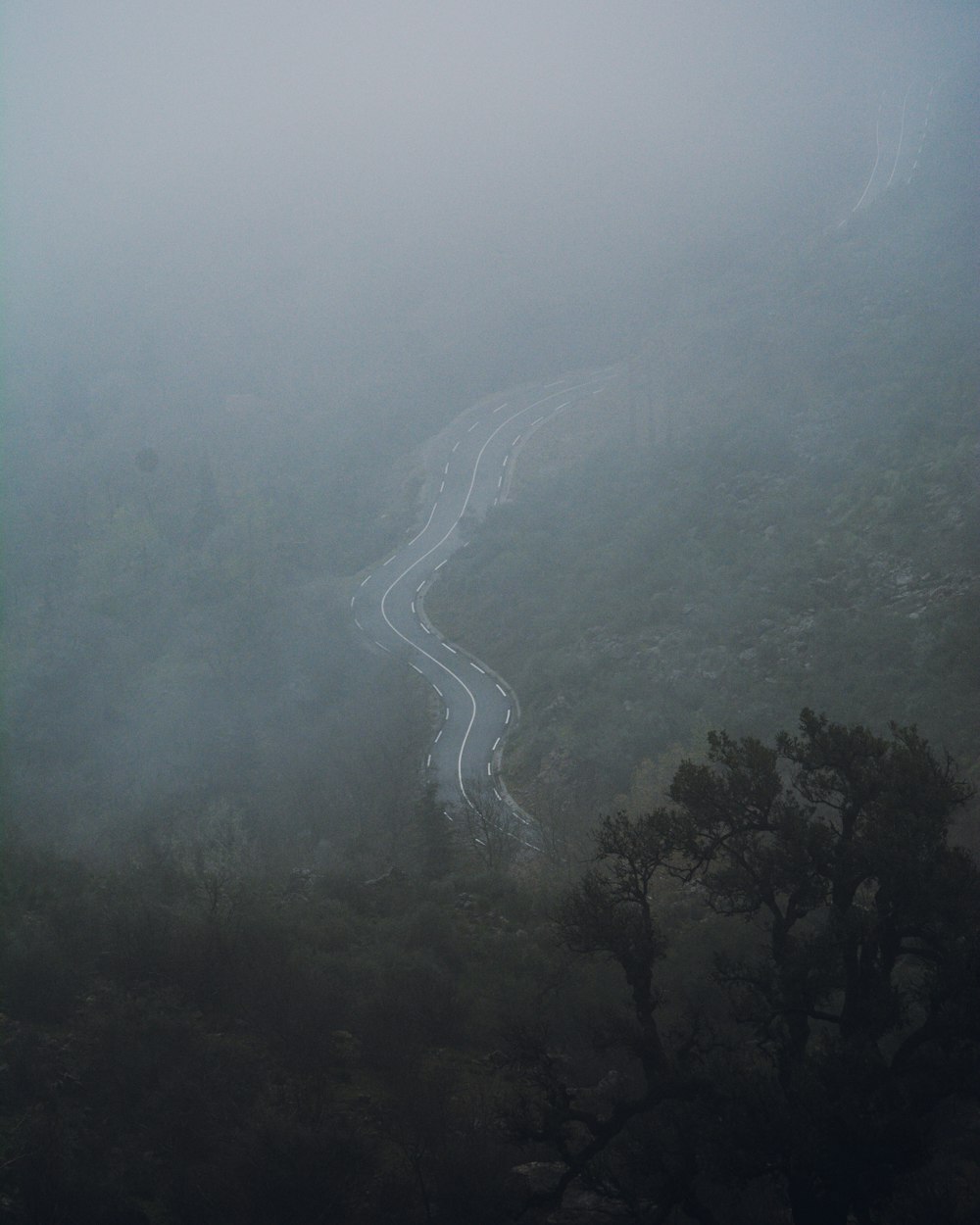 a river in a forest