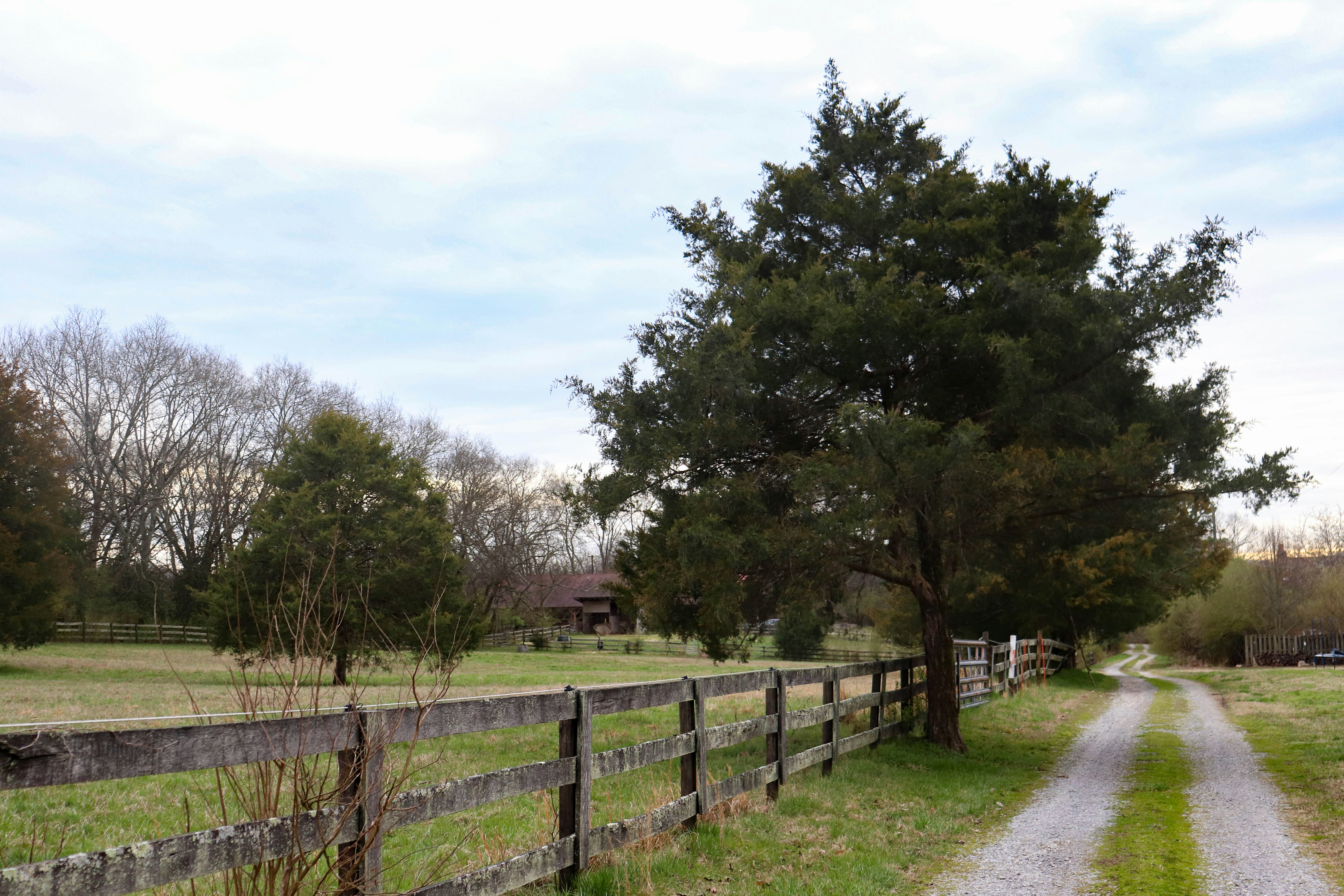 Photo by lroberts067