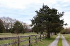 a dirt road with a fence and trees on the side