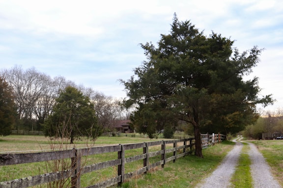 a dirt road with a fence and trees on the side