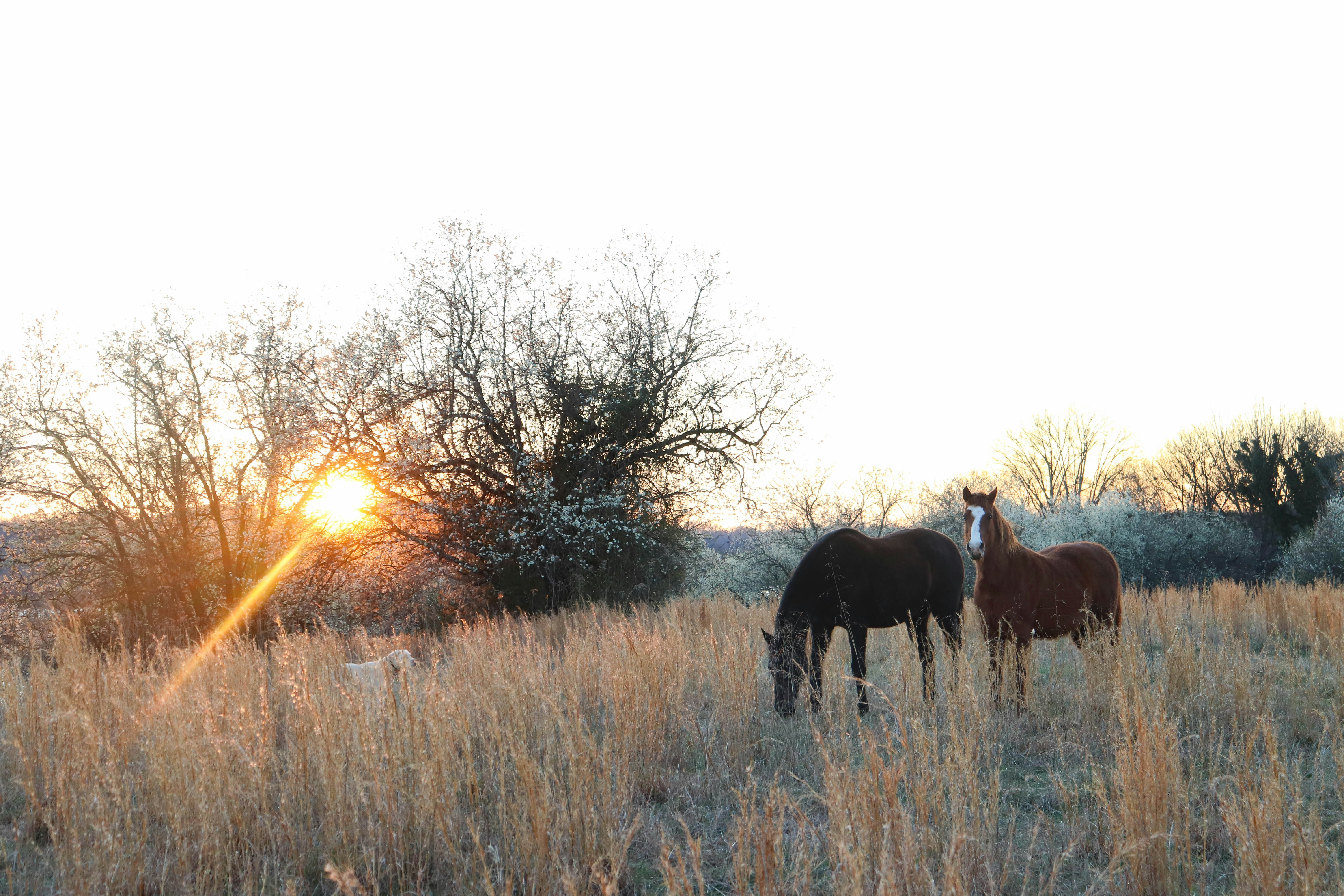 Photo by lroberts067