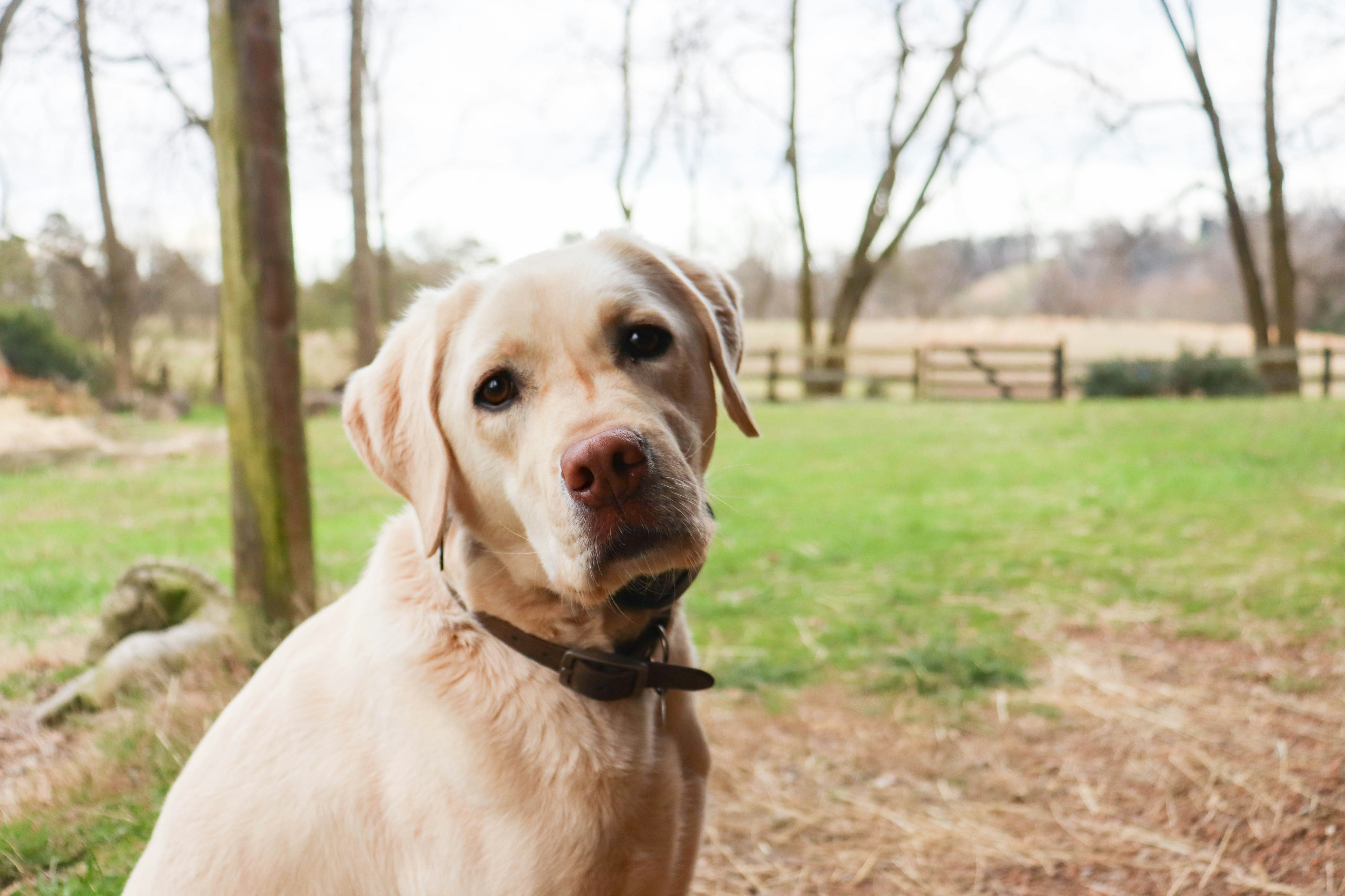 Photo by lroberts067