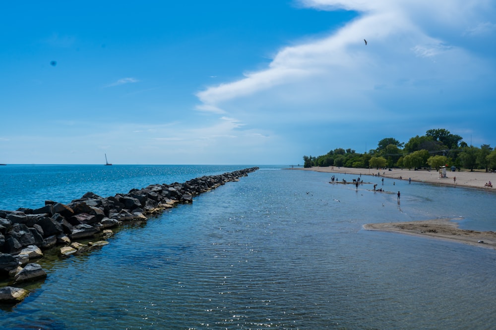 a body of water with people on it and trees in the back