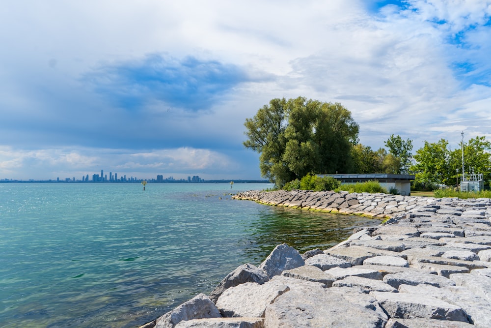 a rocky beach with a body of water and a tree