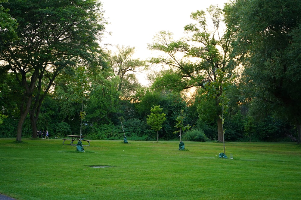 un groupe de personnes jouant dans un parc