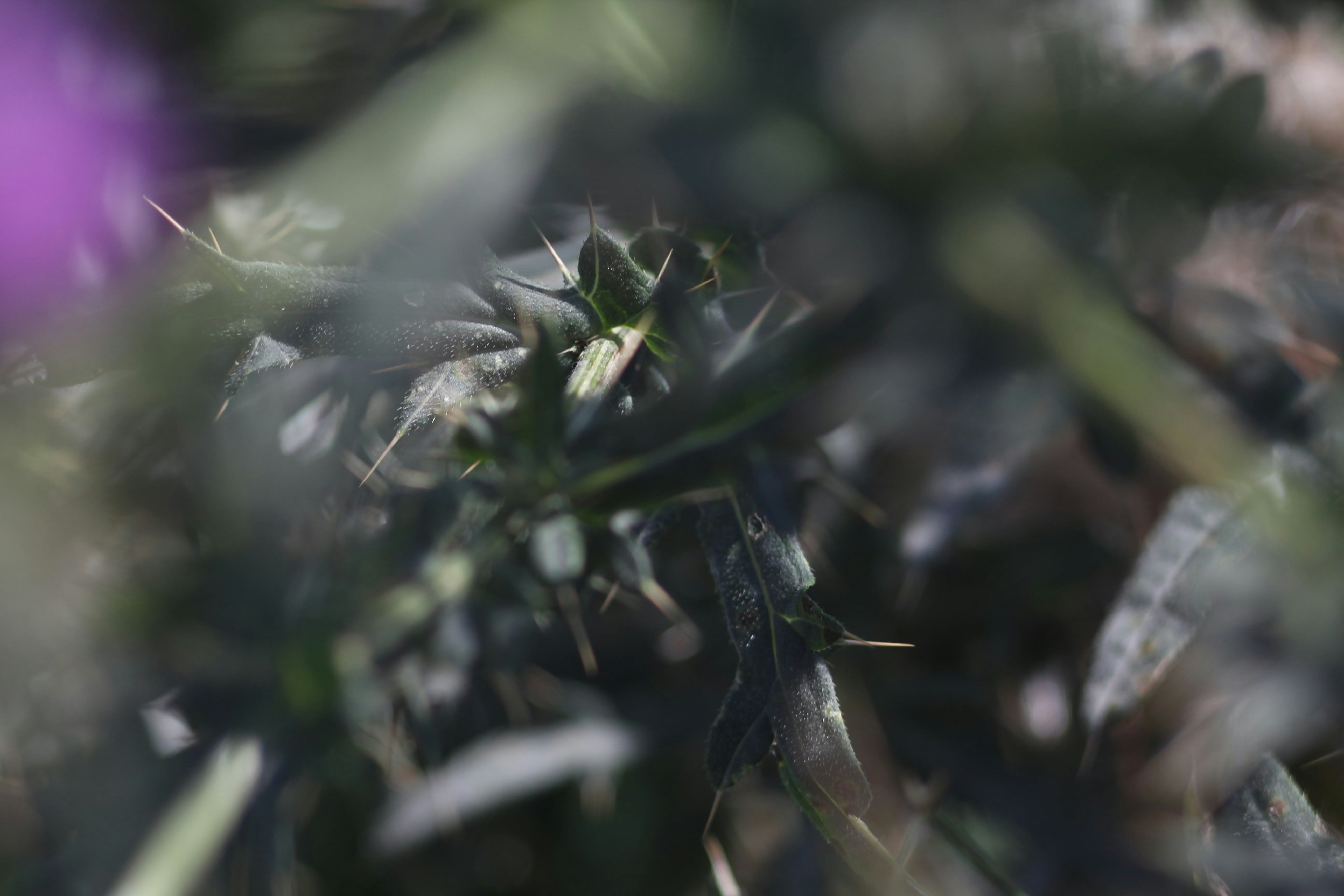 Photo by polinamalilo