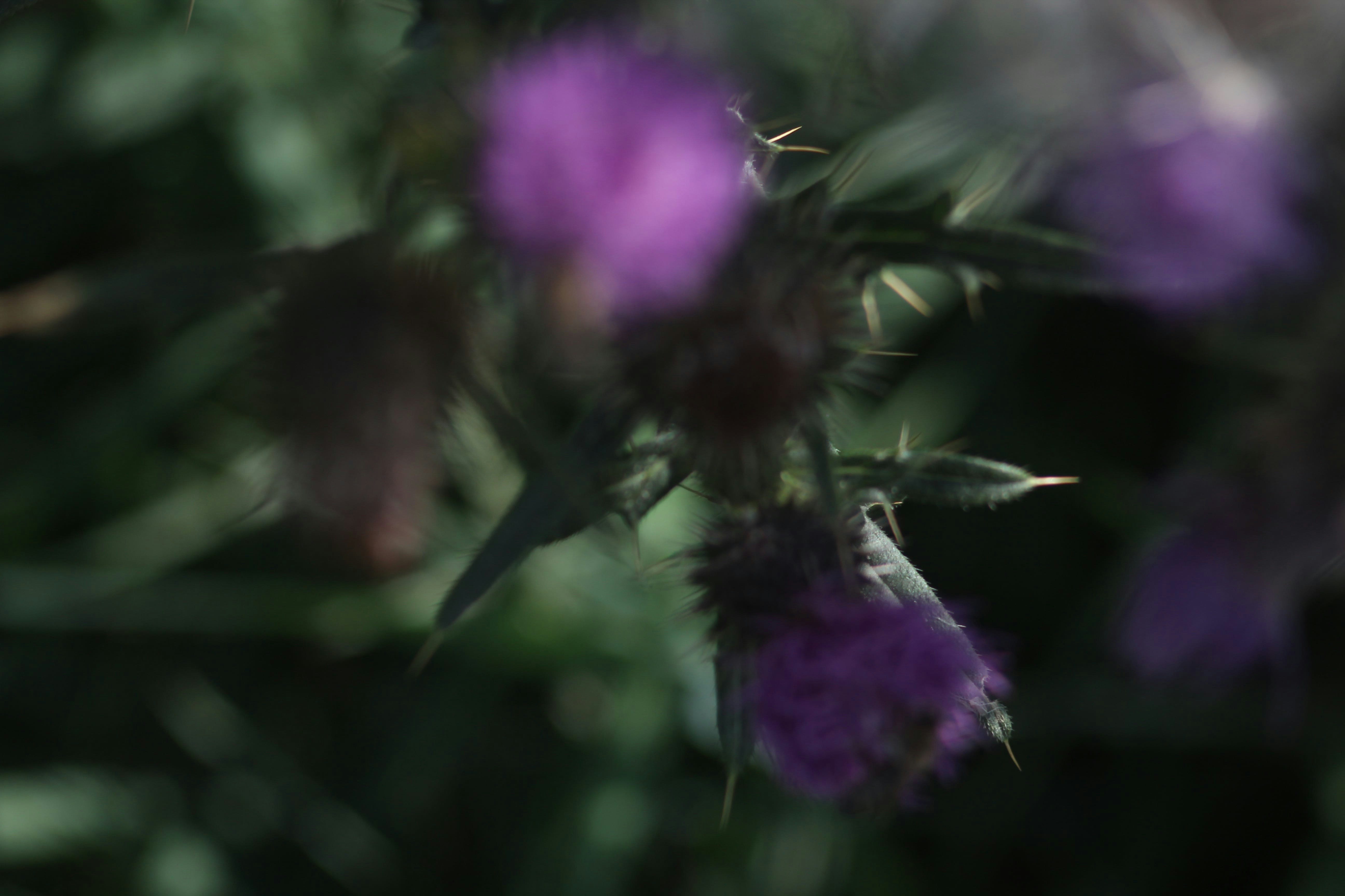 Photo by polinamalilo