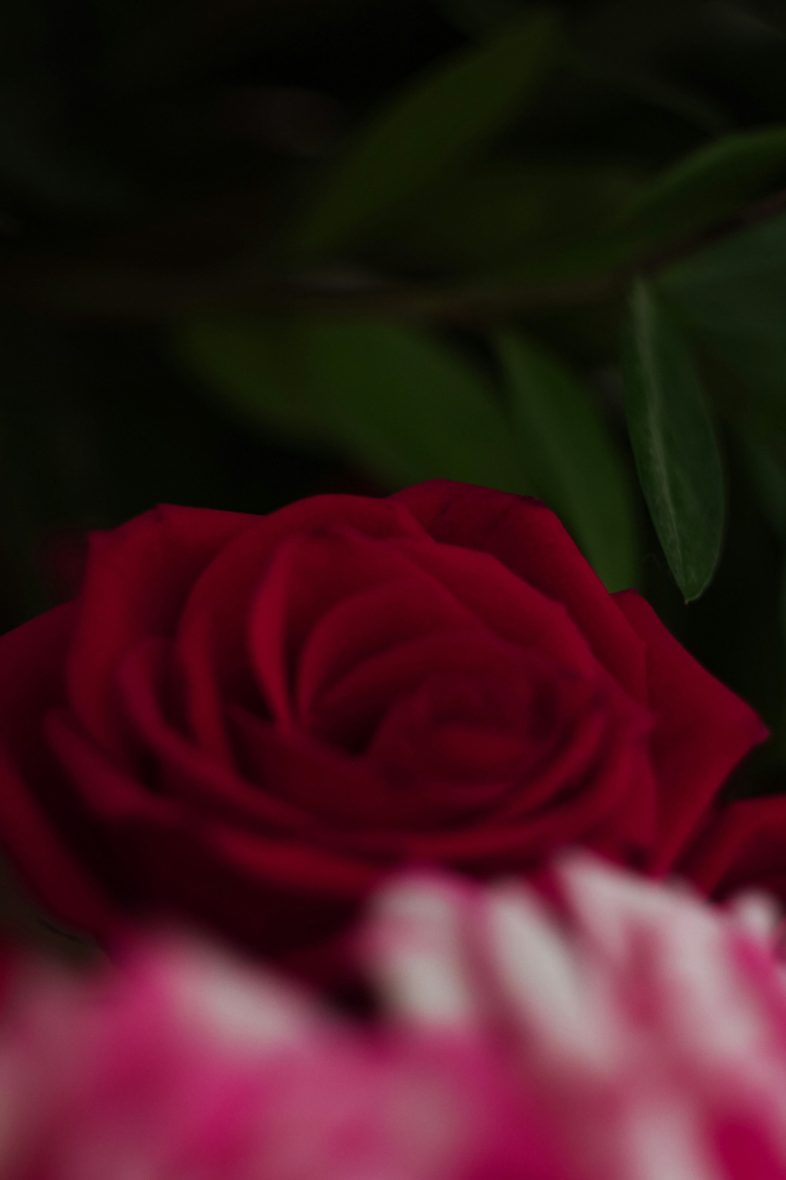 Photo by polinamalilo