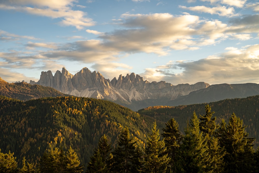 a landscape with trees and mountains in the back