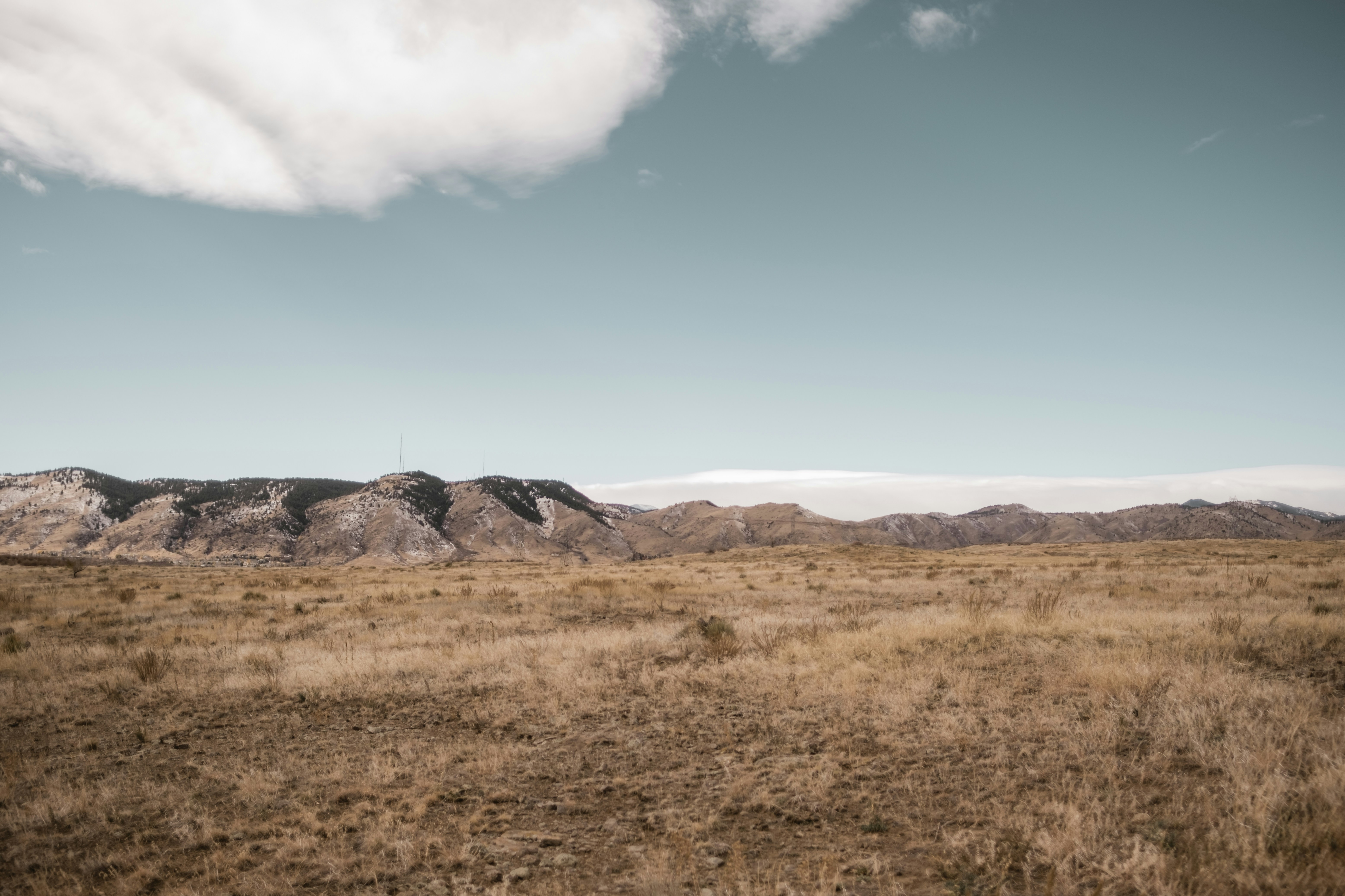 Photo by dillydallying