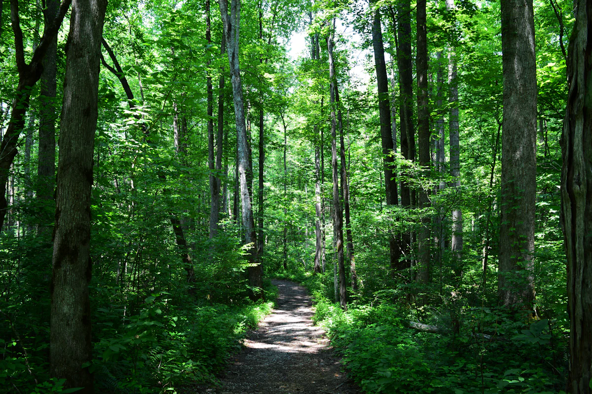 Saint Edward State Park New Year Hike