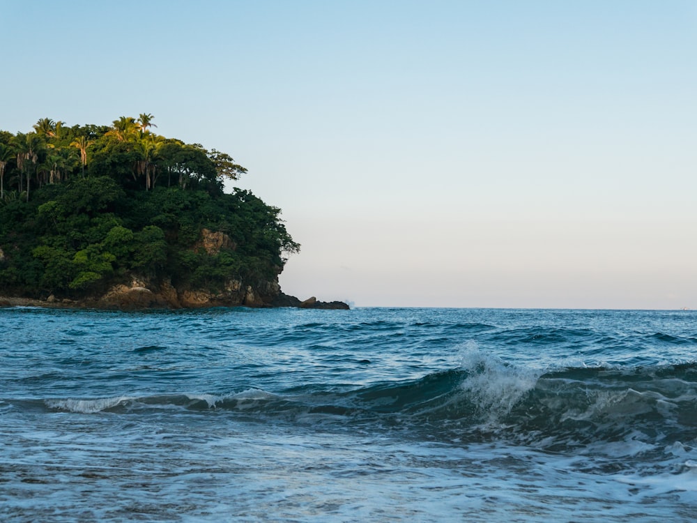 a body of water with trees on the side