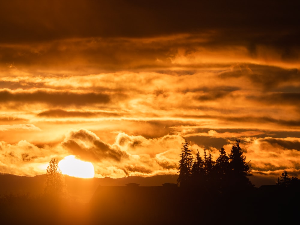 Una puesta de sol con árboles