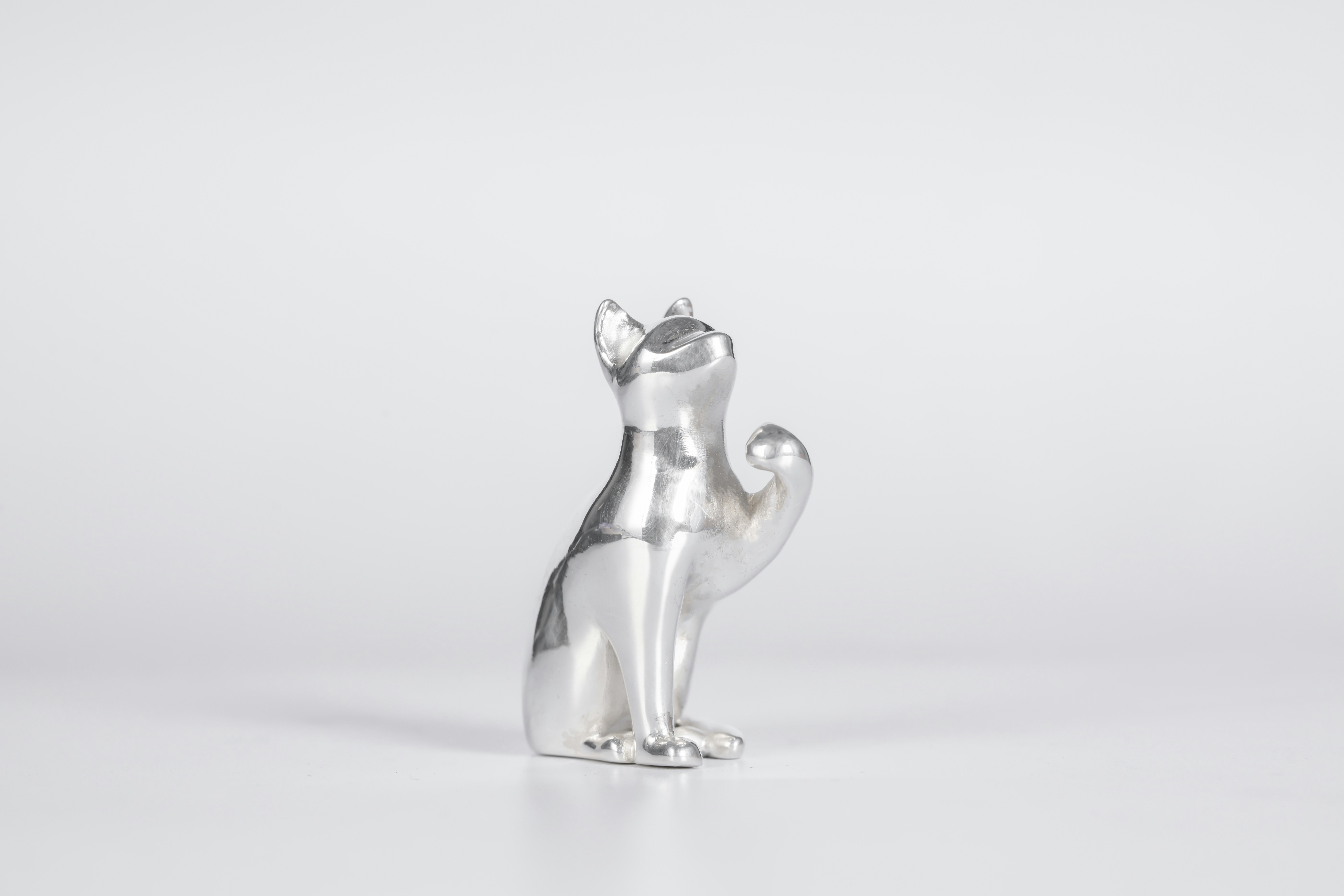 Photo by coppertistwu