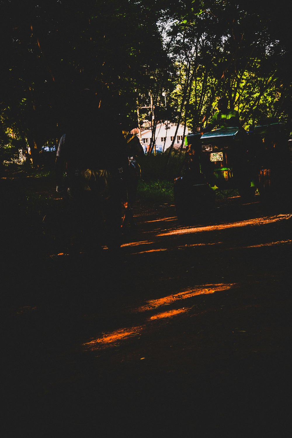 a street with trees and lights