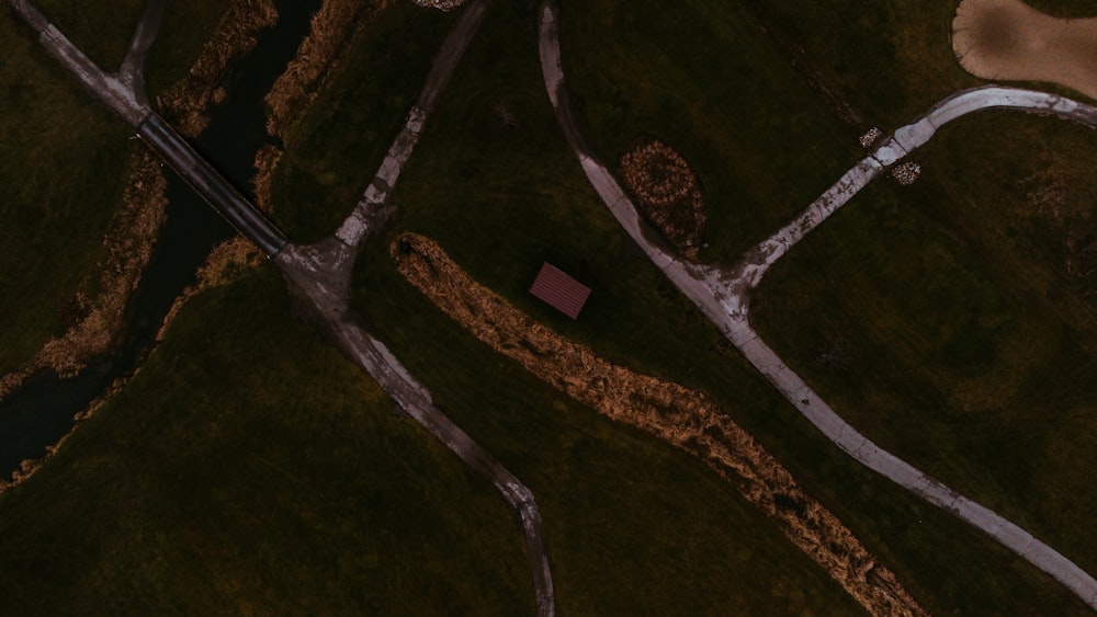 a small house on a tree