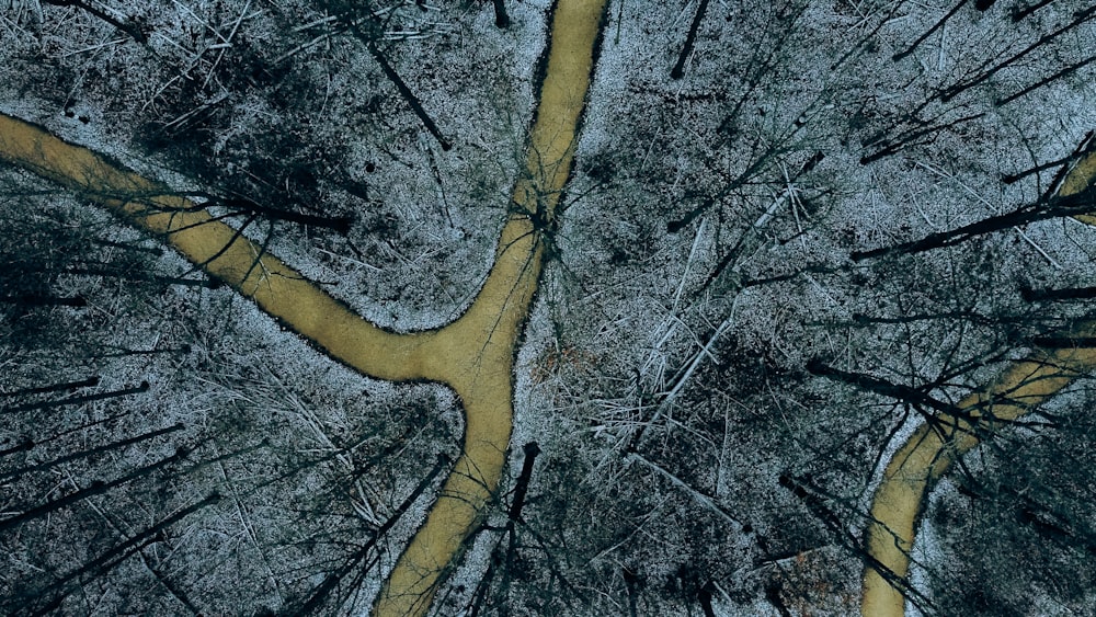 a close-up of a cracked dry land