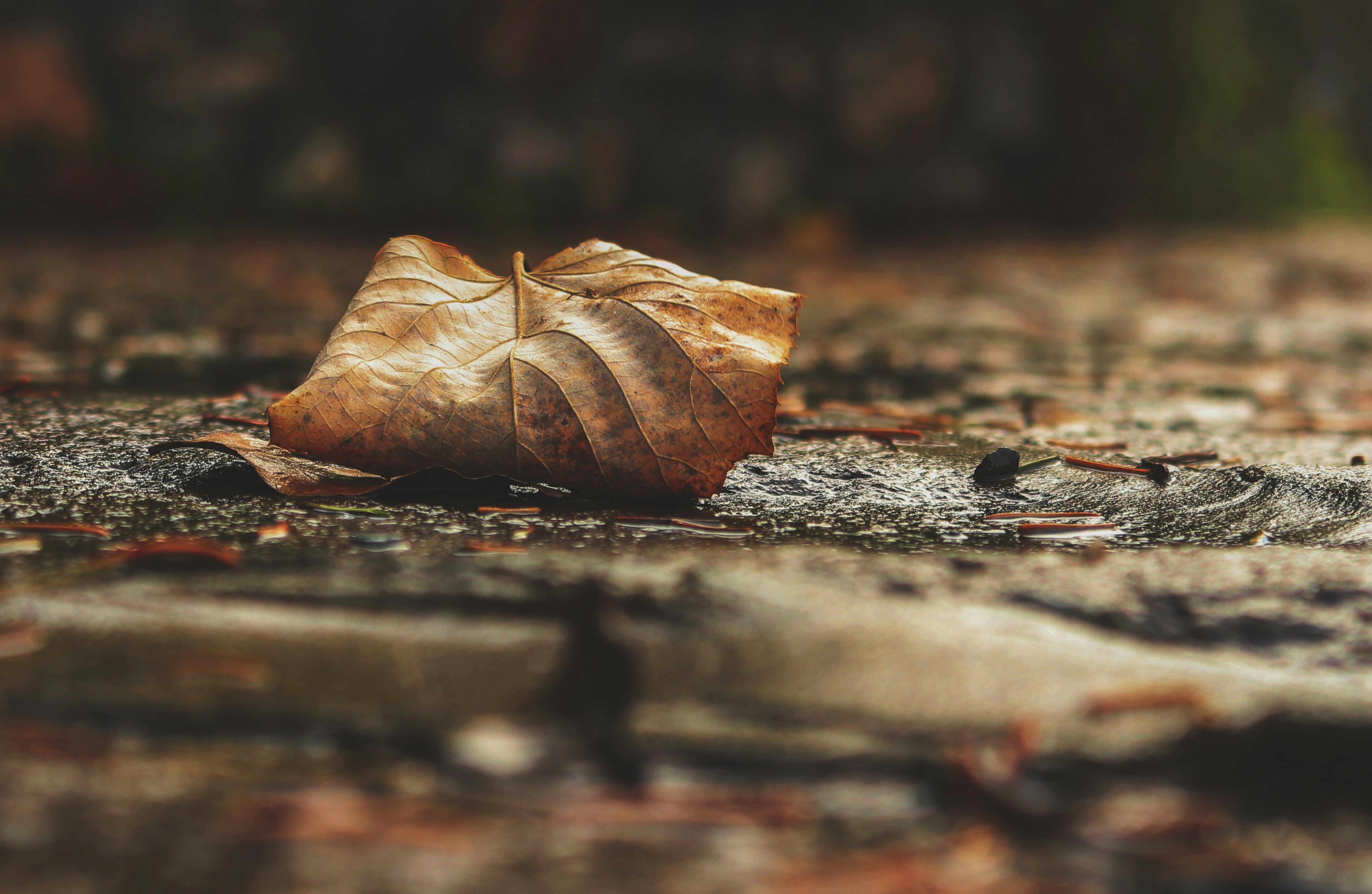 Photo by miloslopusina