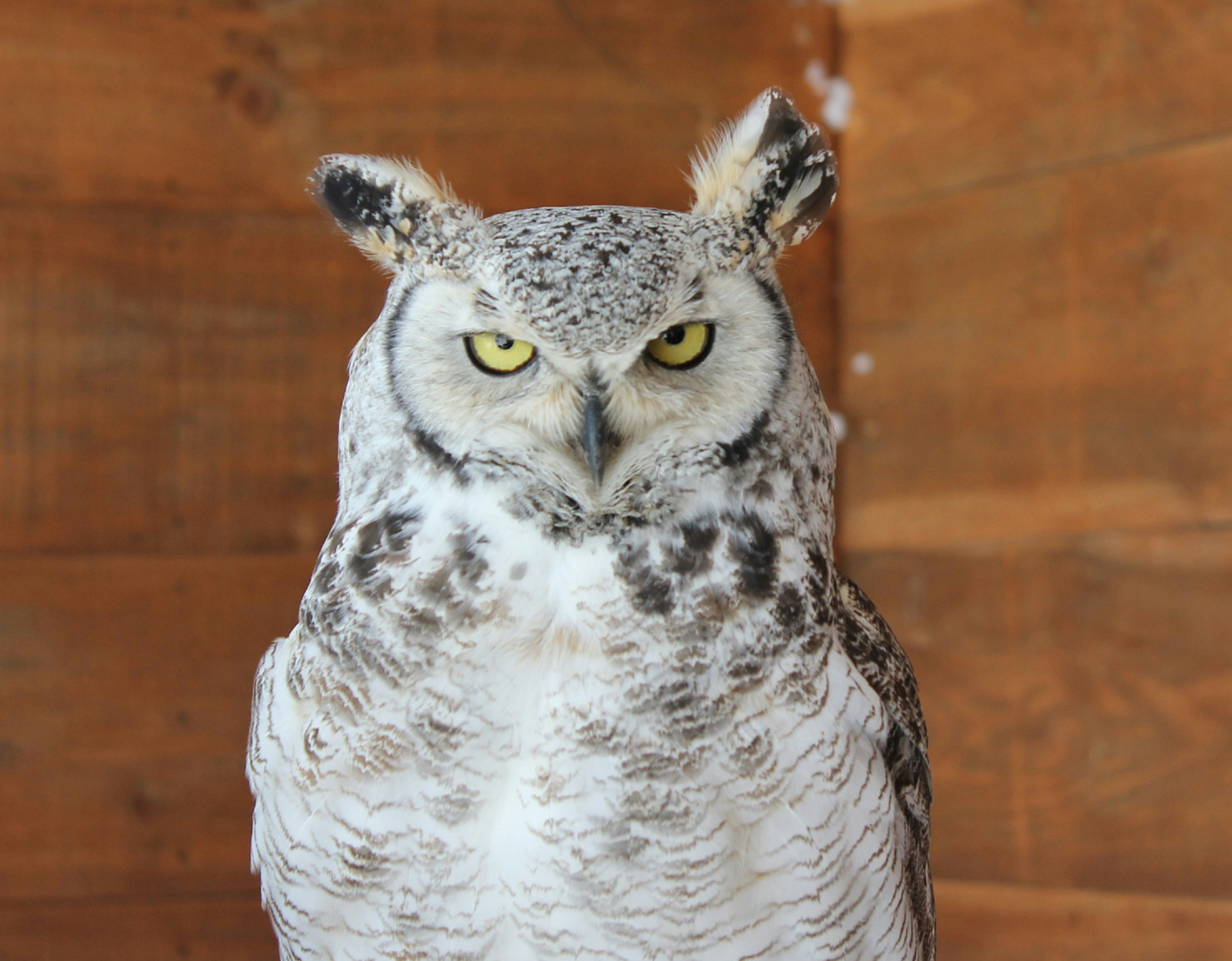 Photo by devonmetcalf