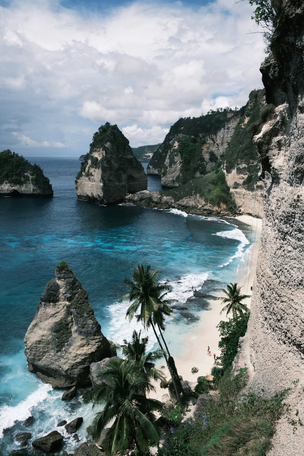 una playa rocosa con un cuerpo de agua y árboles