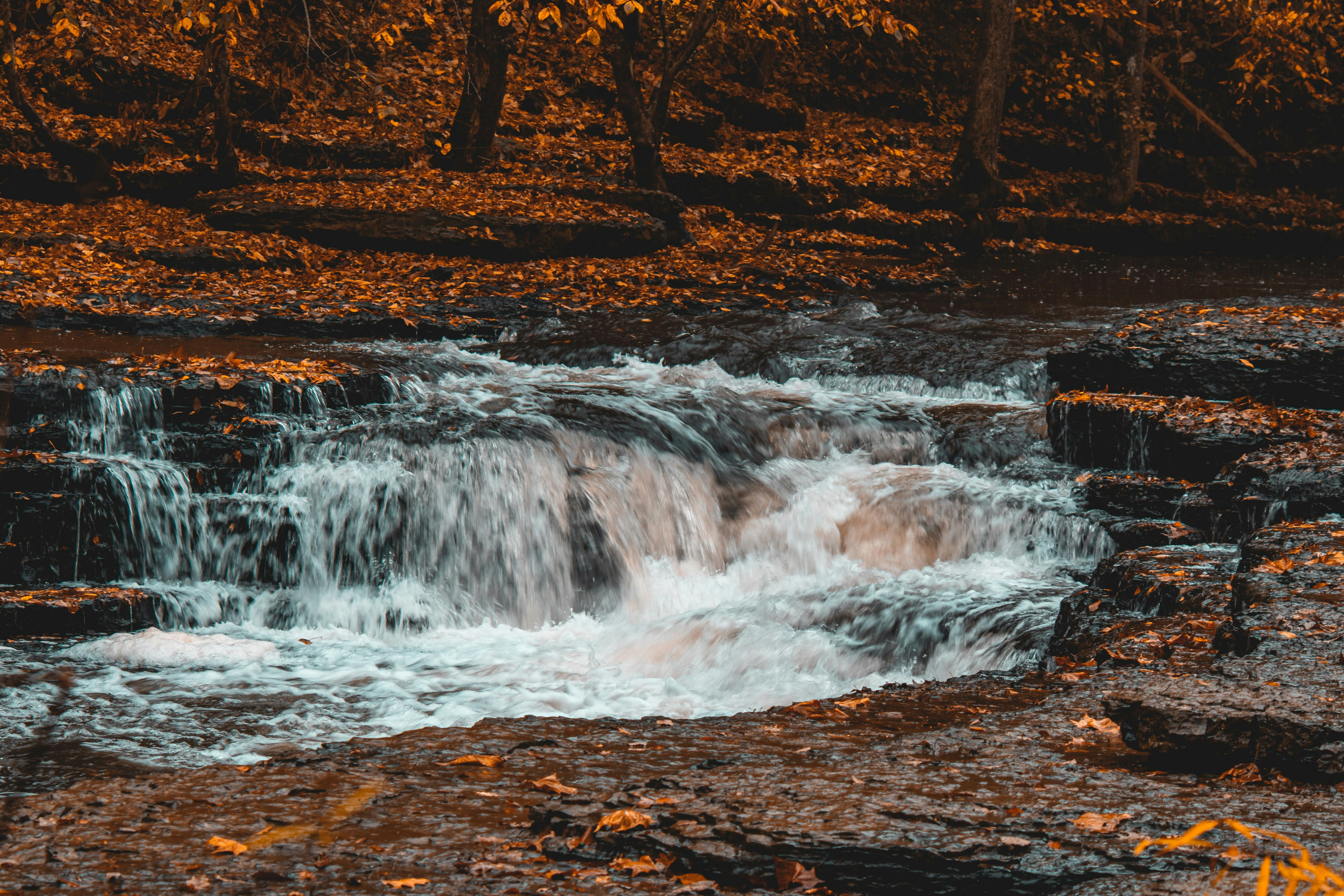 Photo by brice_cooper18