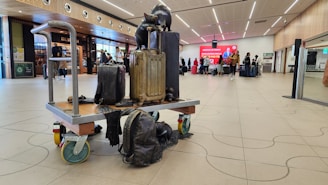 A luggage trolley is placed in an airport terminal with several people in the background. The trolley is stacked with a variety of suitcases and has a sculptural element of a cat. The terminal features modern design elements, such as wooden paneling and overhead lights. People are queuing at a counter in the distance.