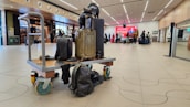A luggage trolley is placed in an airport terminal with several people in the background. The trolley is stacked with a variety of suitcases and has a sculptural element of a cat. The terminal features modern design elements, such as wooden paneling and overhead lights. People are queuing at a counter in the distance.