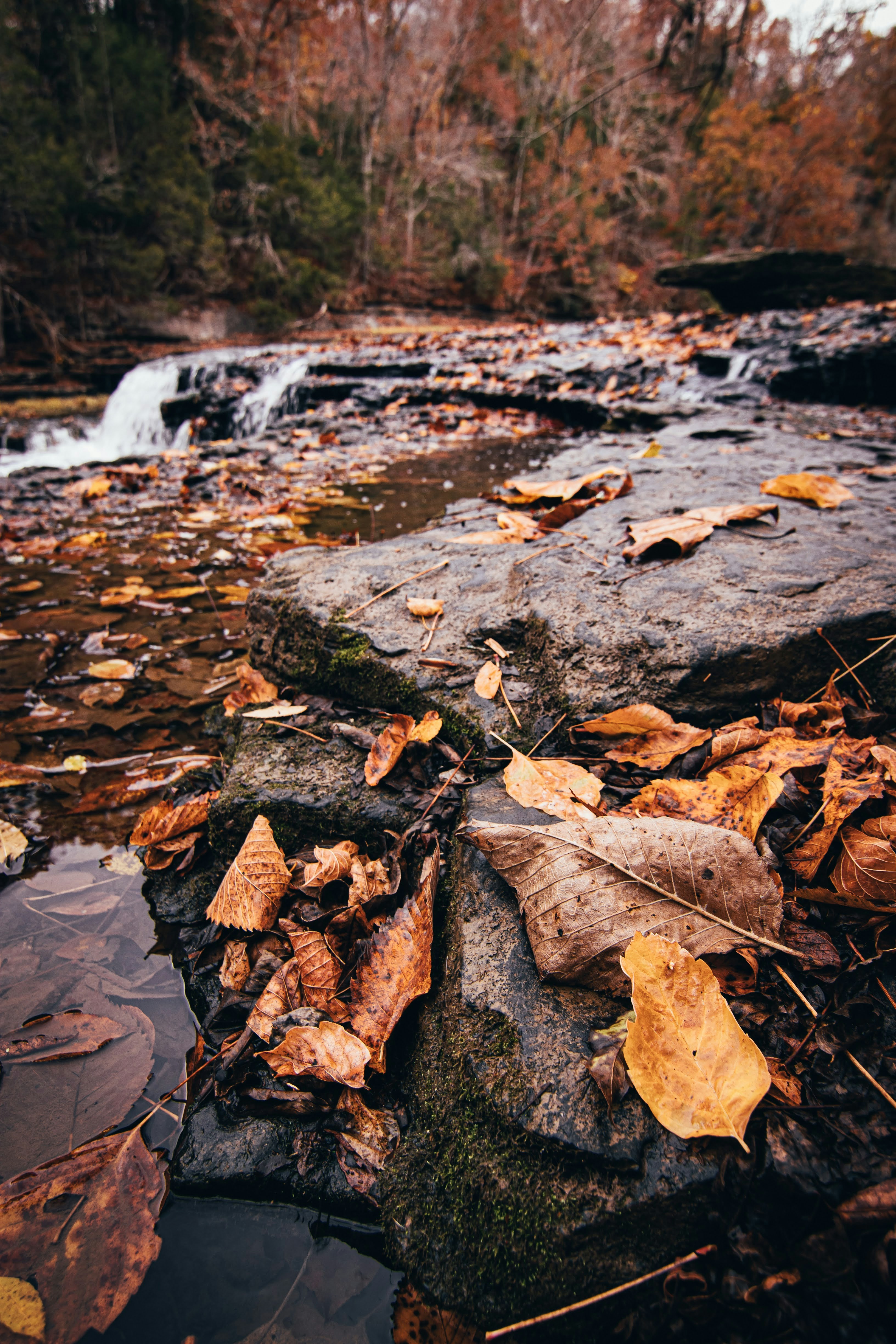 Photo by brice_cooper18