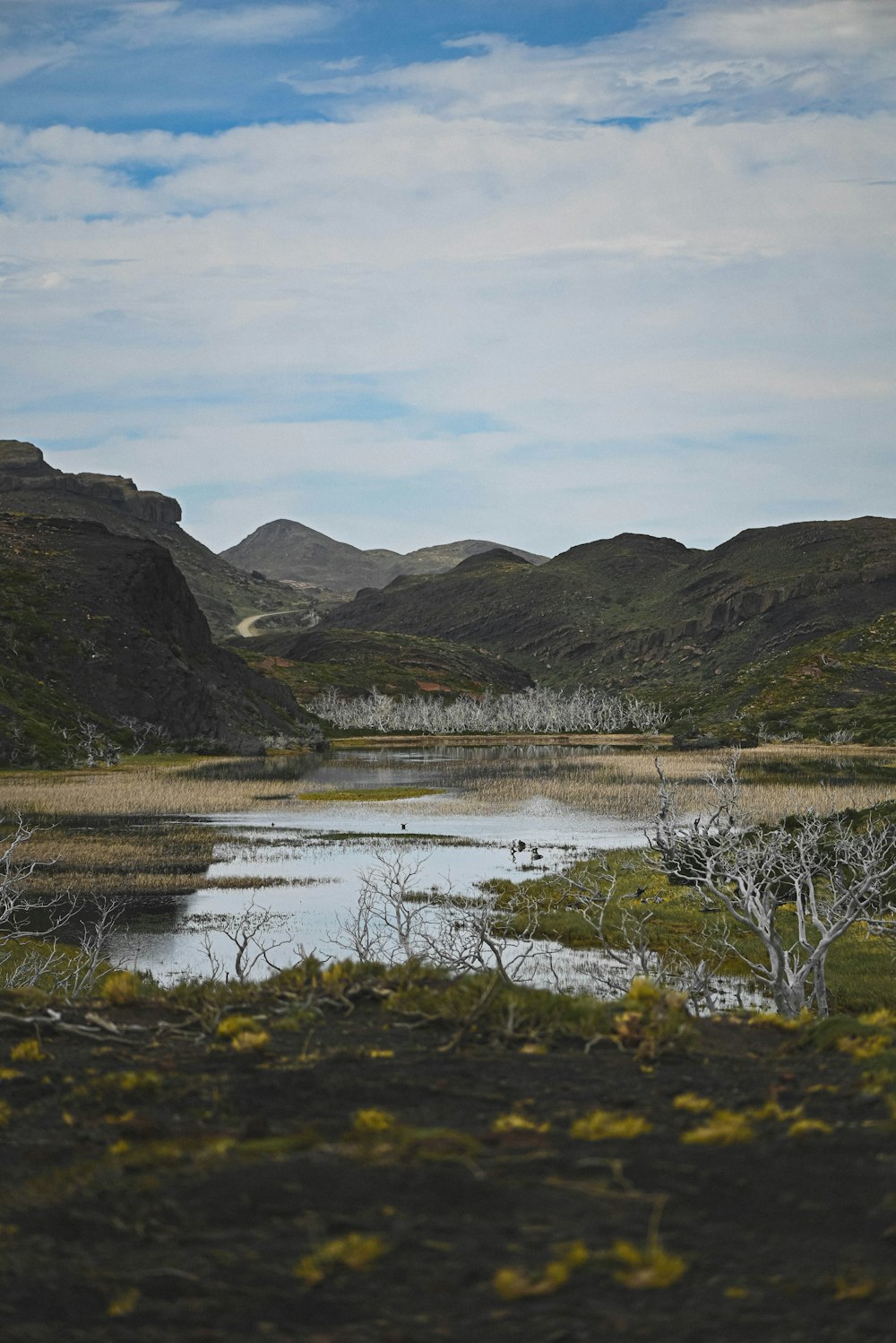 a river running through a valley