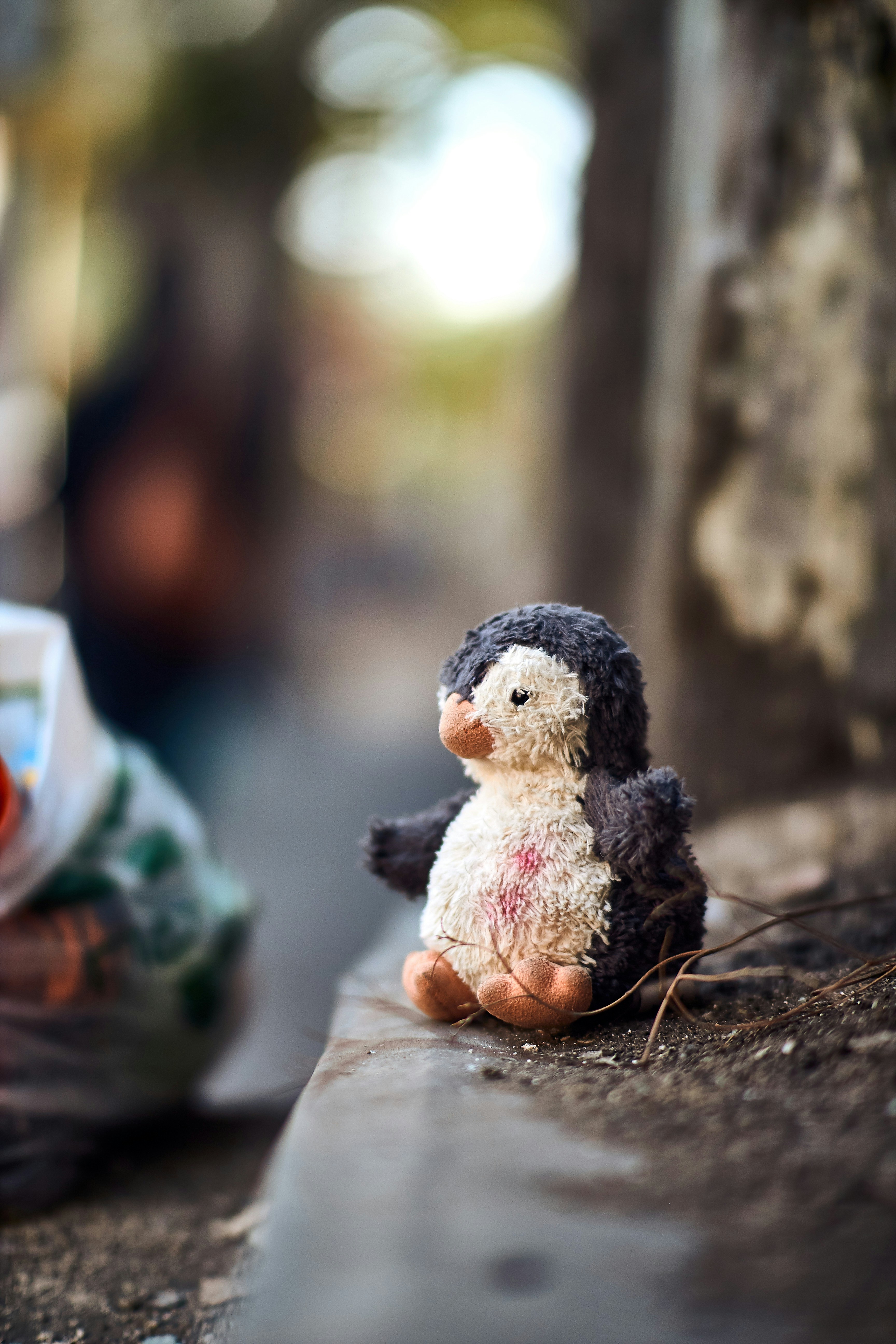 ein kleiner Vogel, der auf einem Baumstamm sitzt