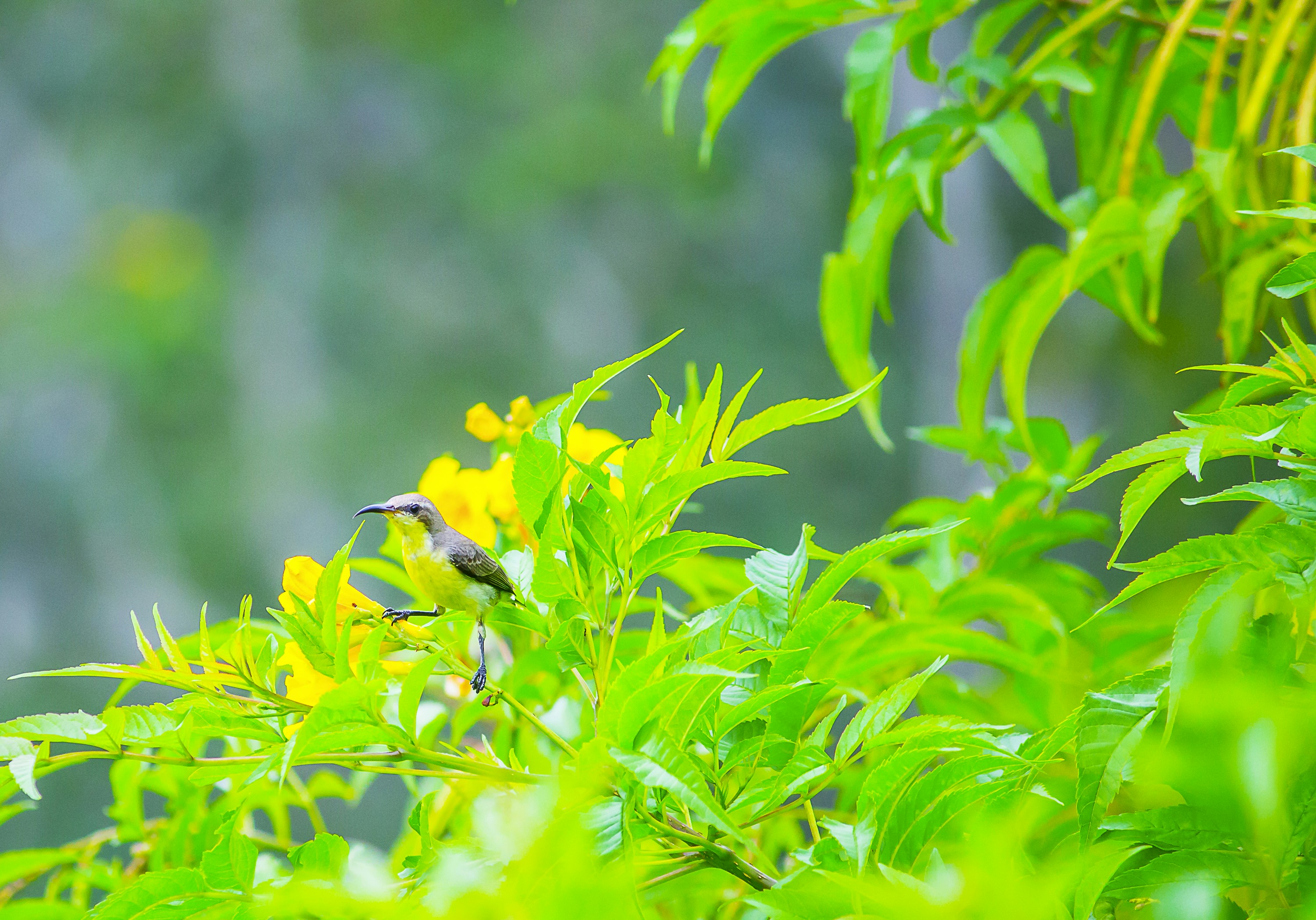 Photo by light_rays