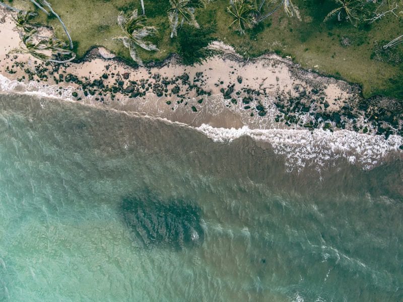 Punaluu Black Sand Beach Big Island Hawaii