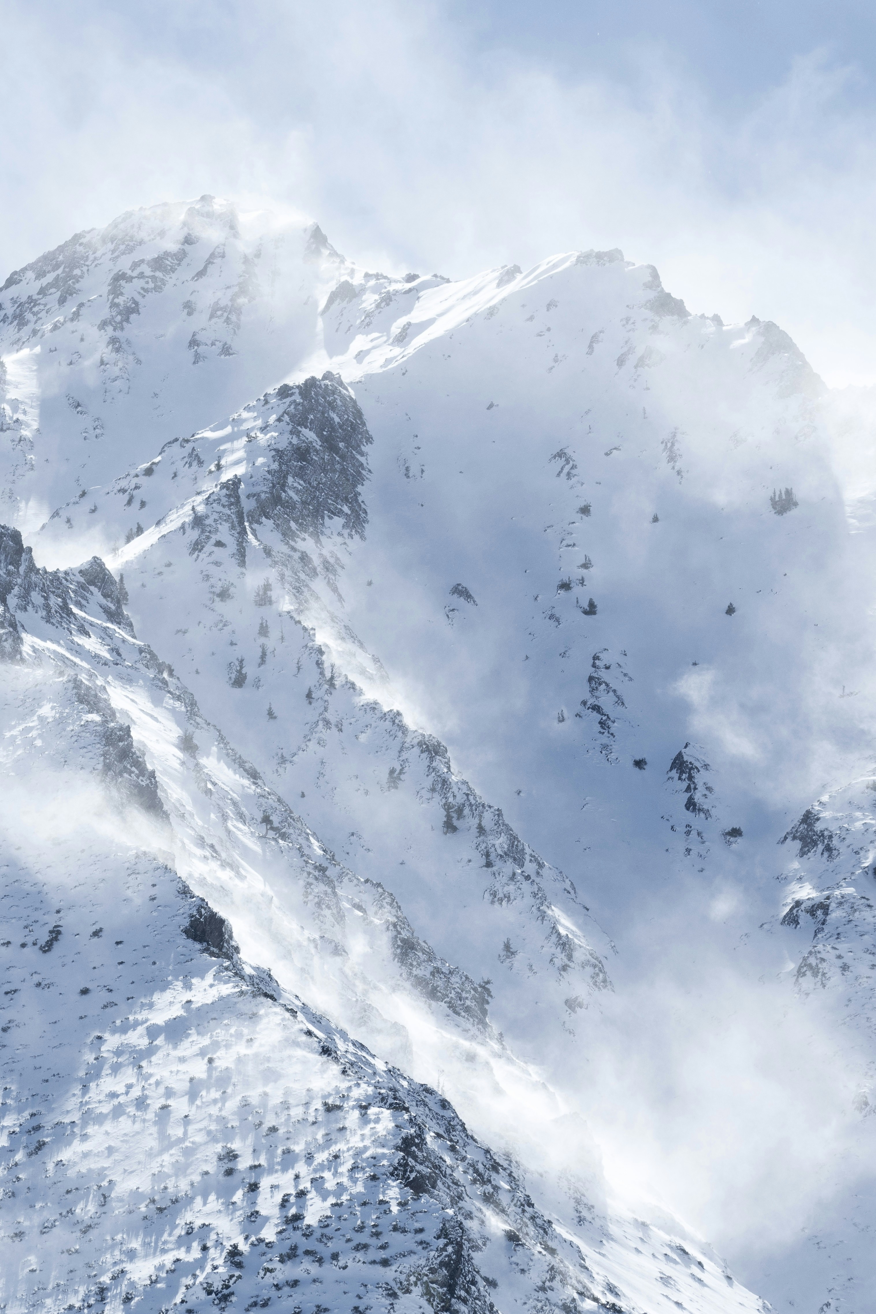 Photo by masonrfield