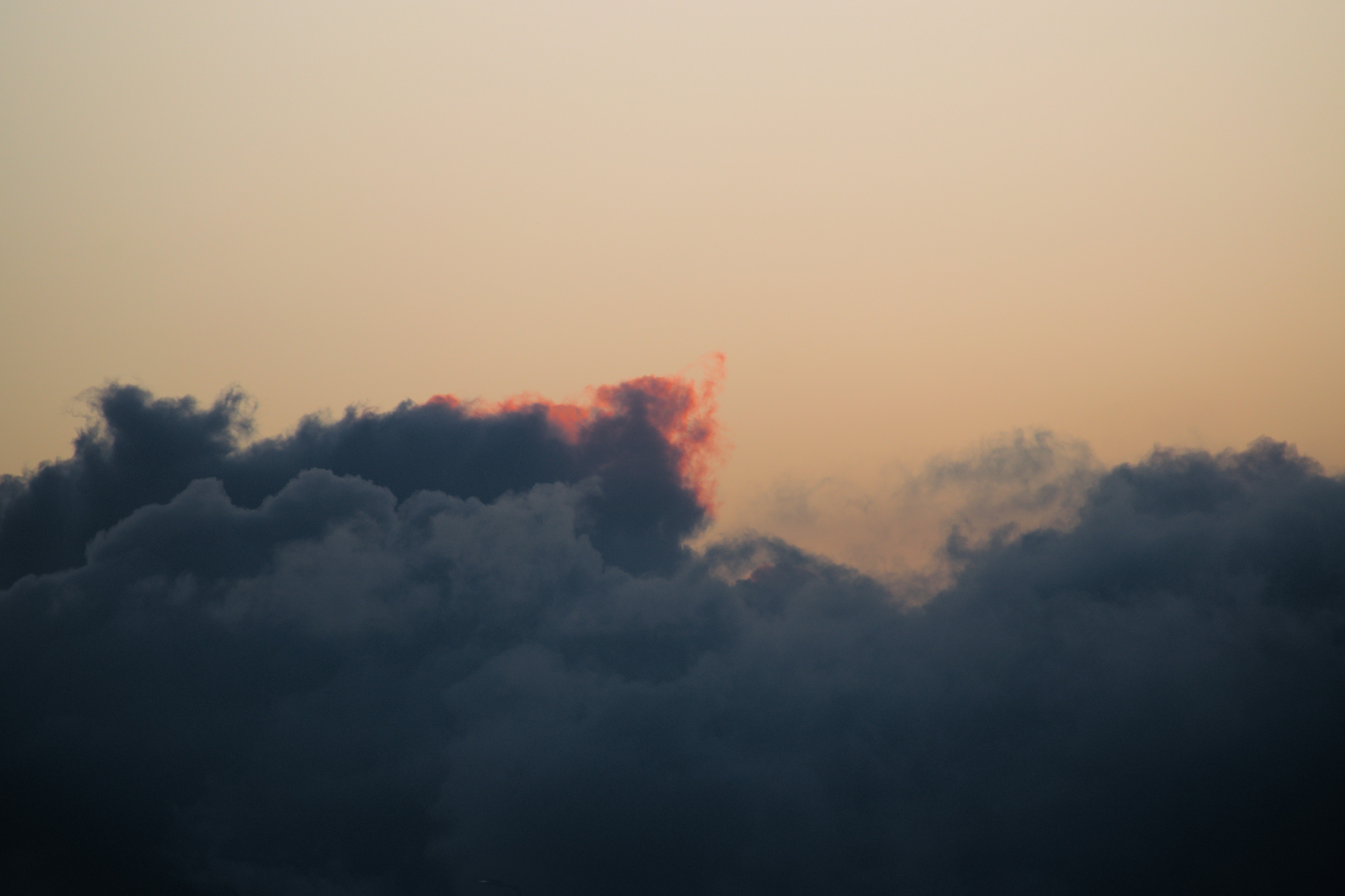 Photo by kawaivandenelzen