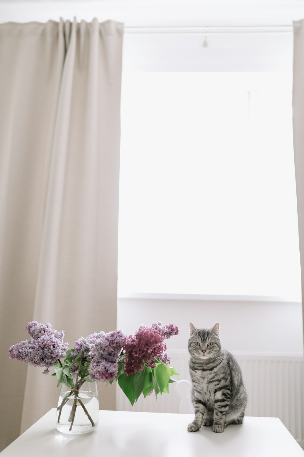 a cat sitting next to a vase of flowers