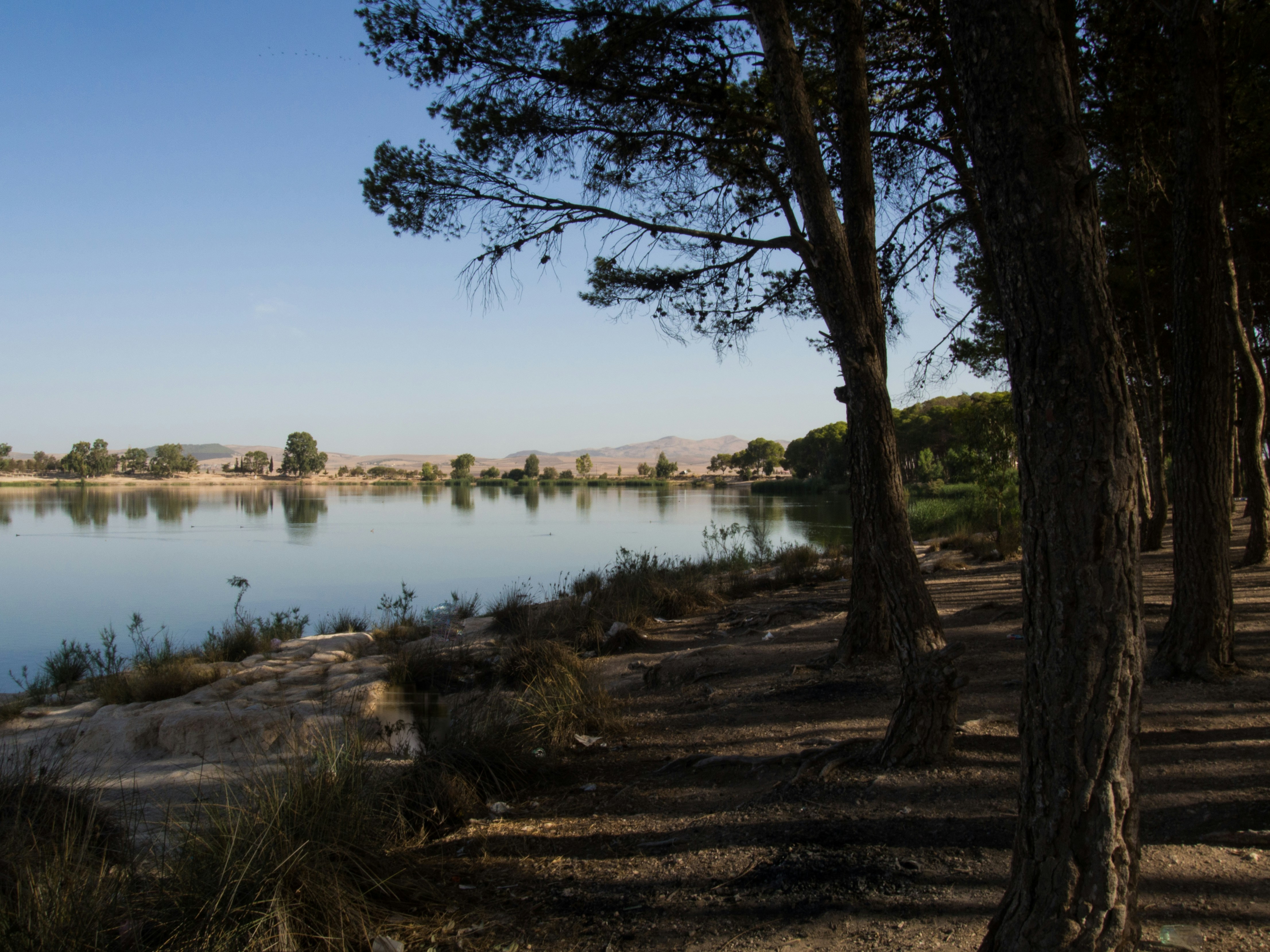 a body of water with trees around it, Sidi Mohamed Ben Ali lake located in western Algeria in the state of Sidi Bel Abbes, specifically on the lands of the municipality of Ain Al Tharid.