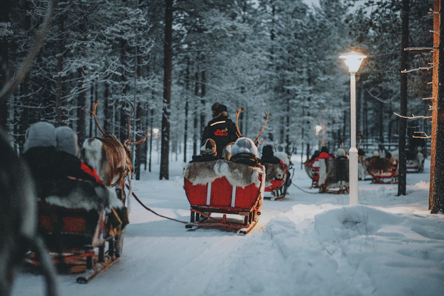 Reindeer sleigh