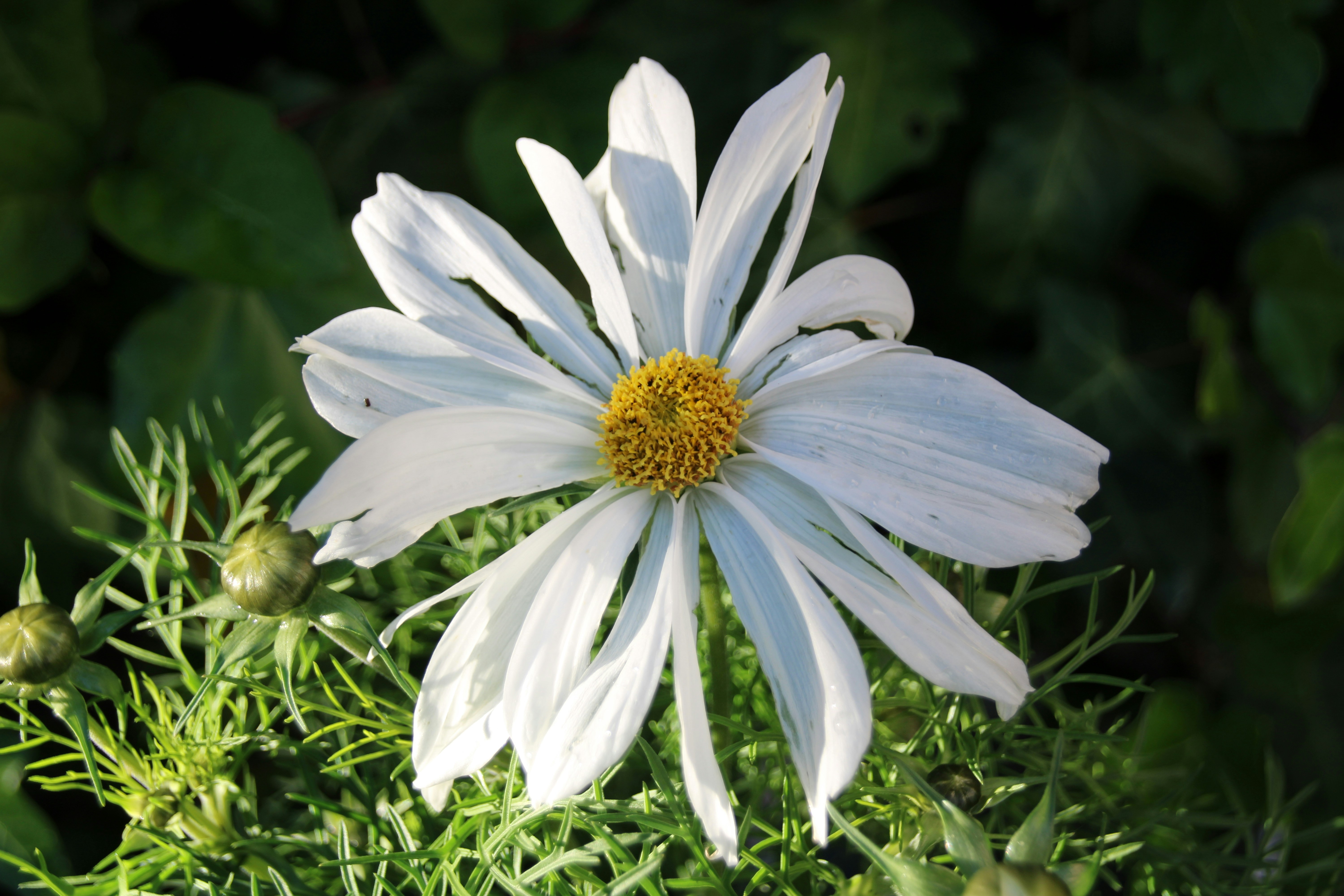 Photo by matt_alazia