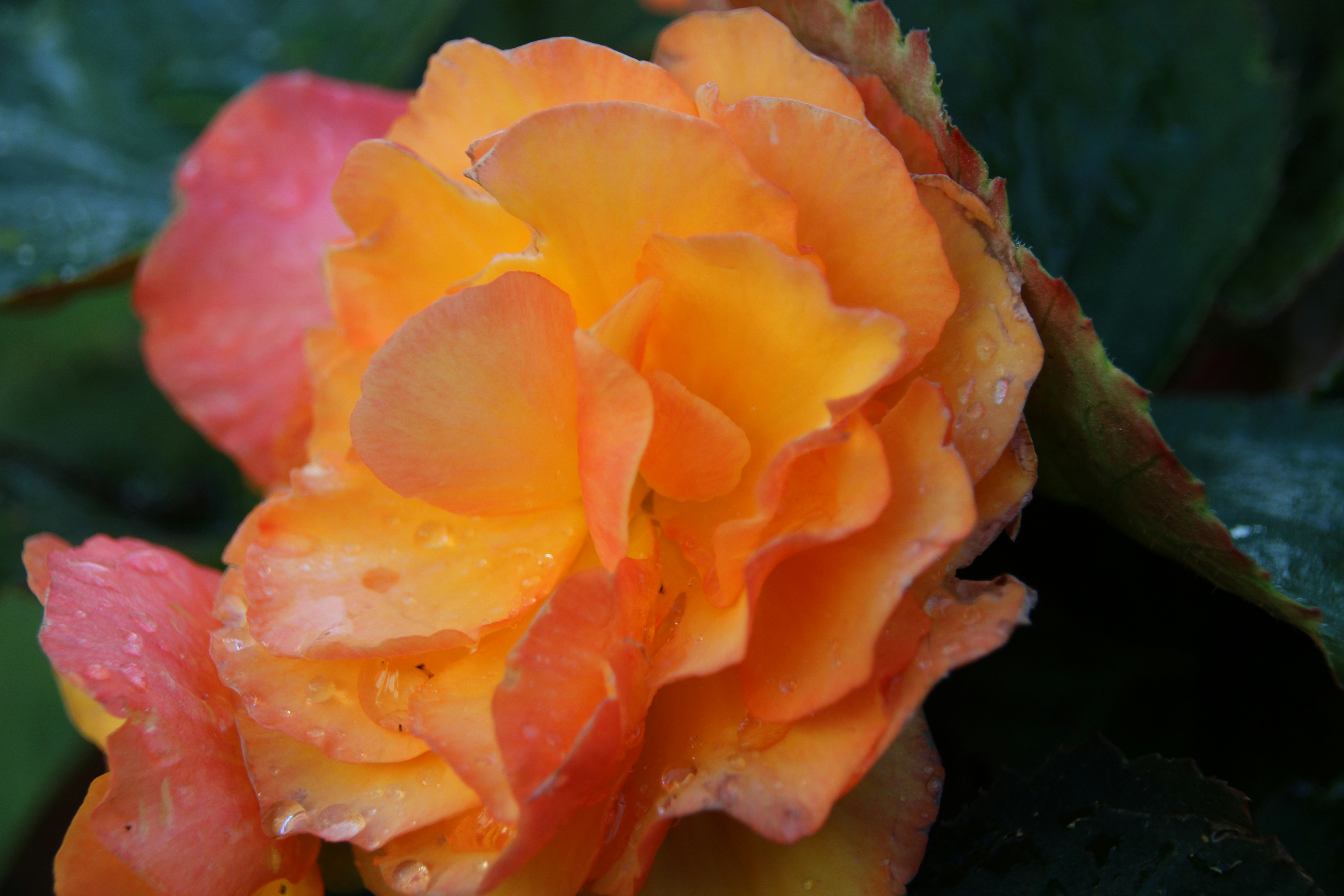 Photo by matt_alazia