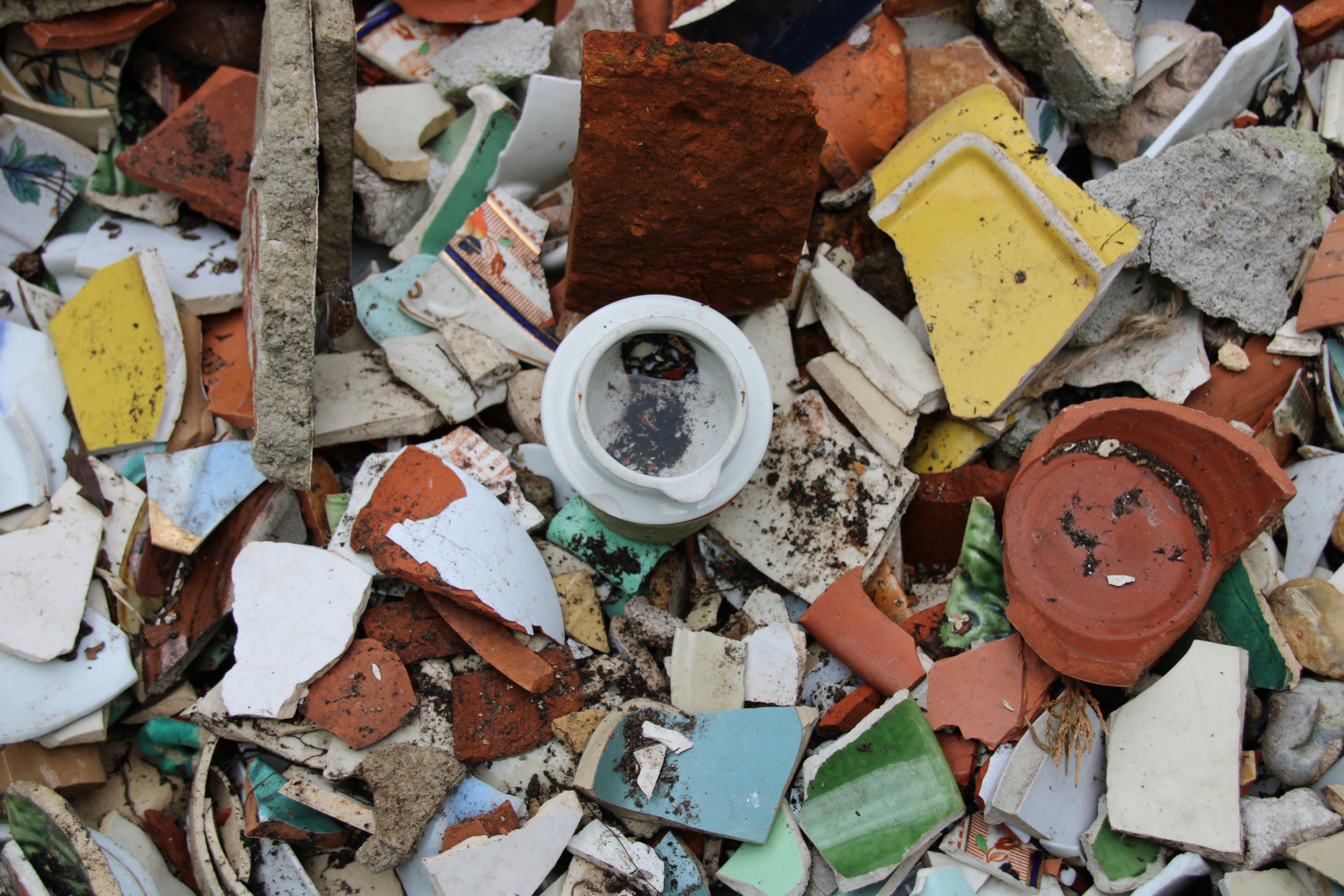 Photo by matt_alazia