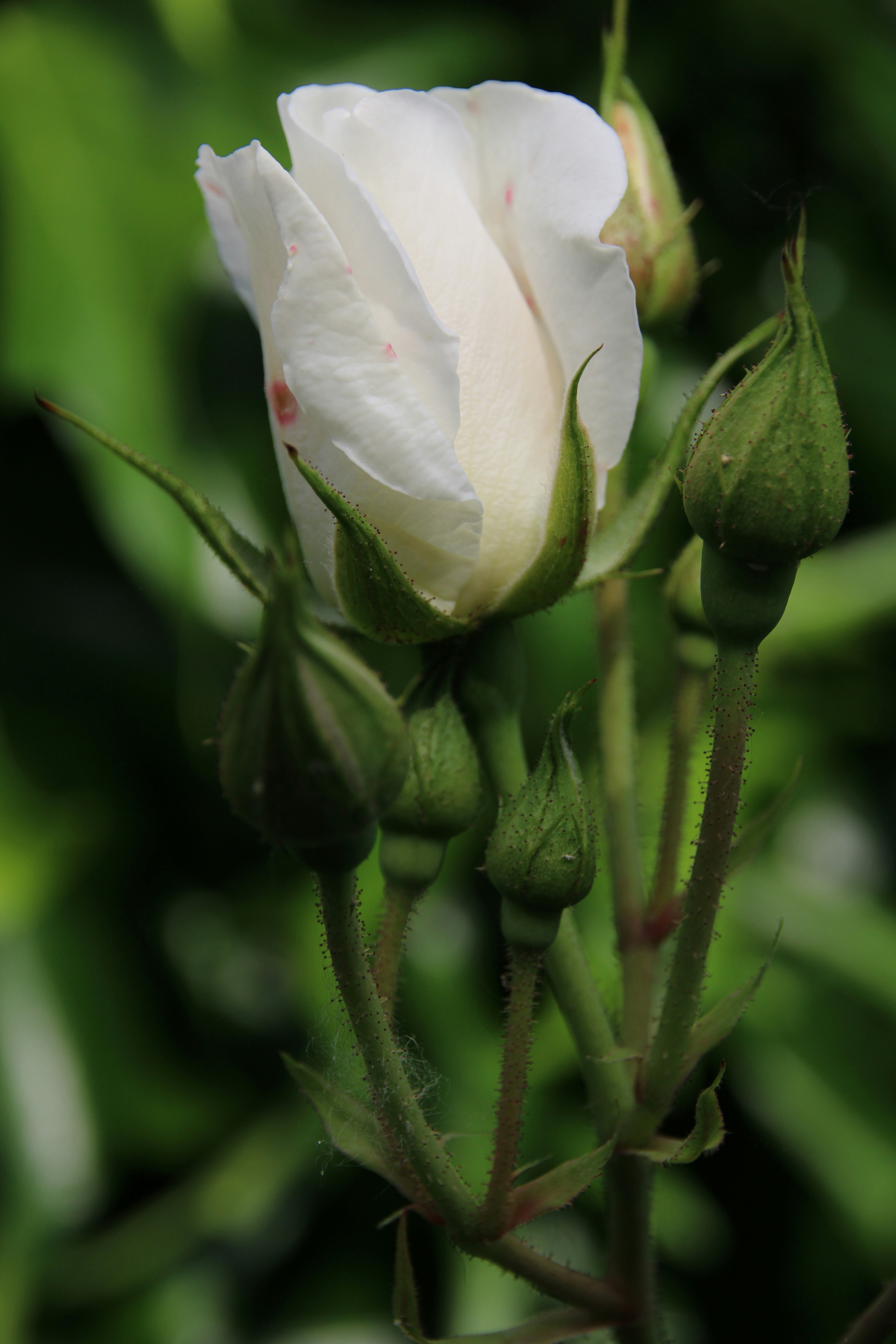 Photo by matt_alazia