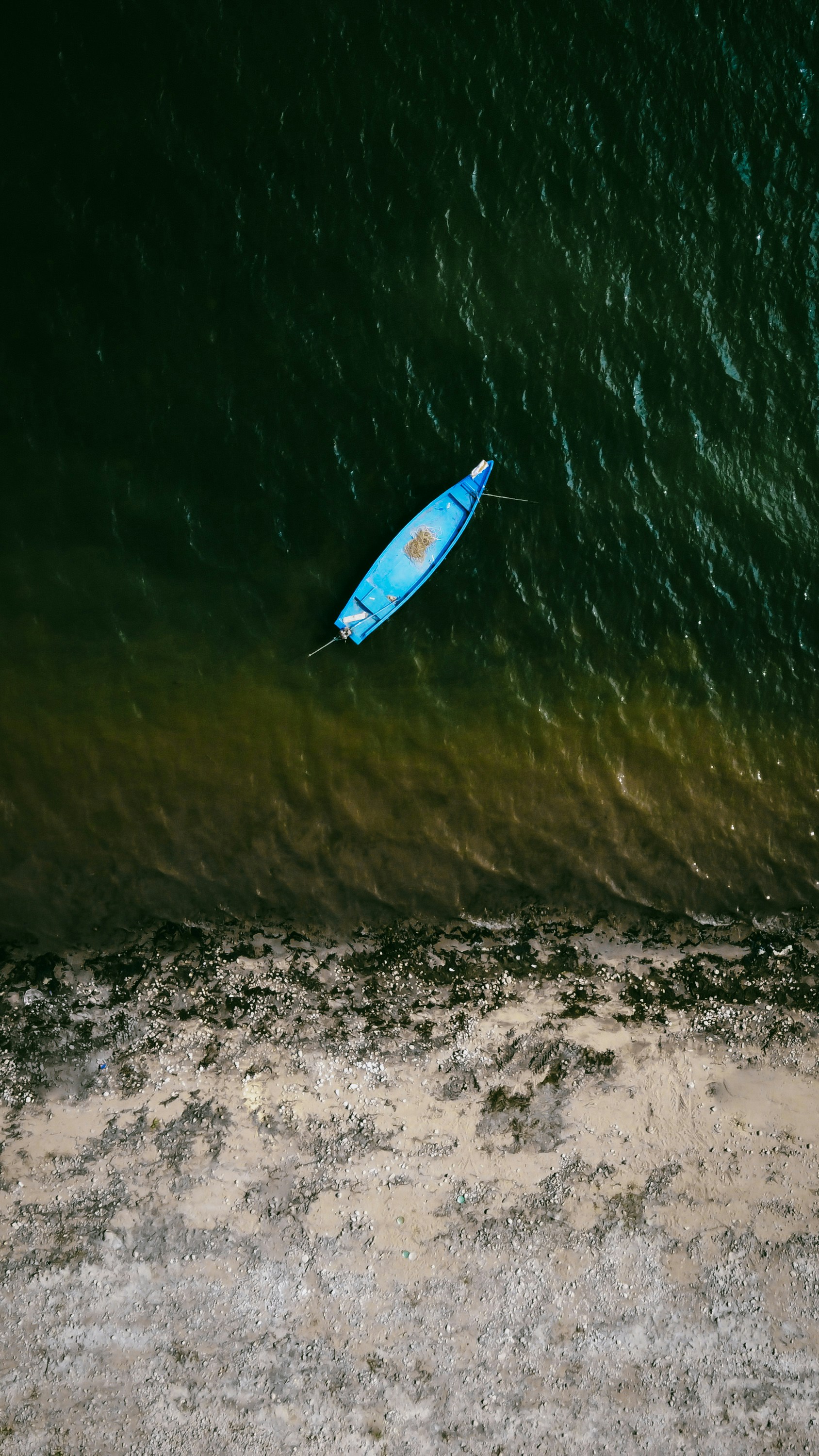 Photo by thepixelshot