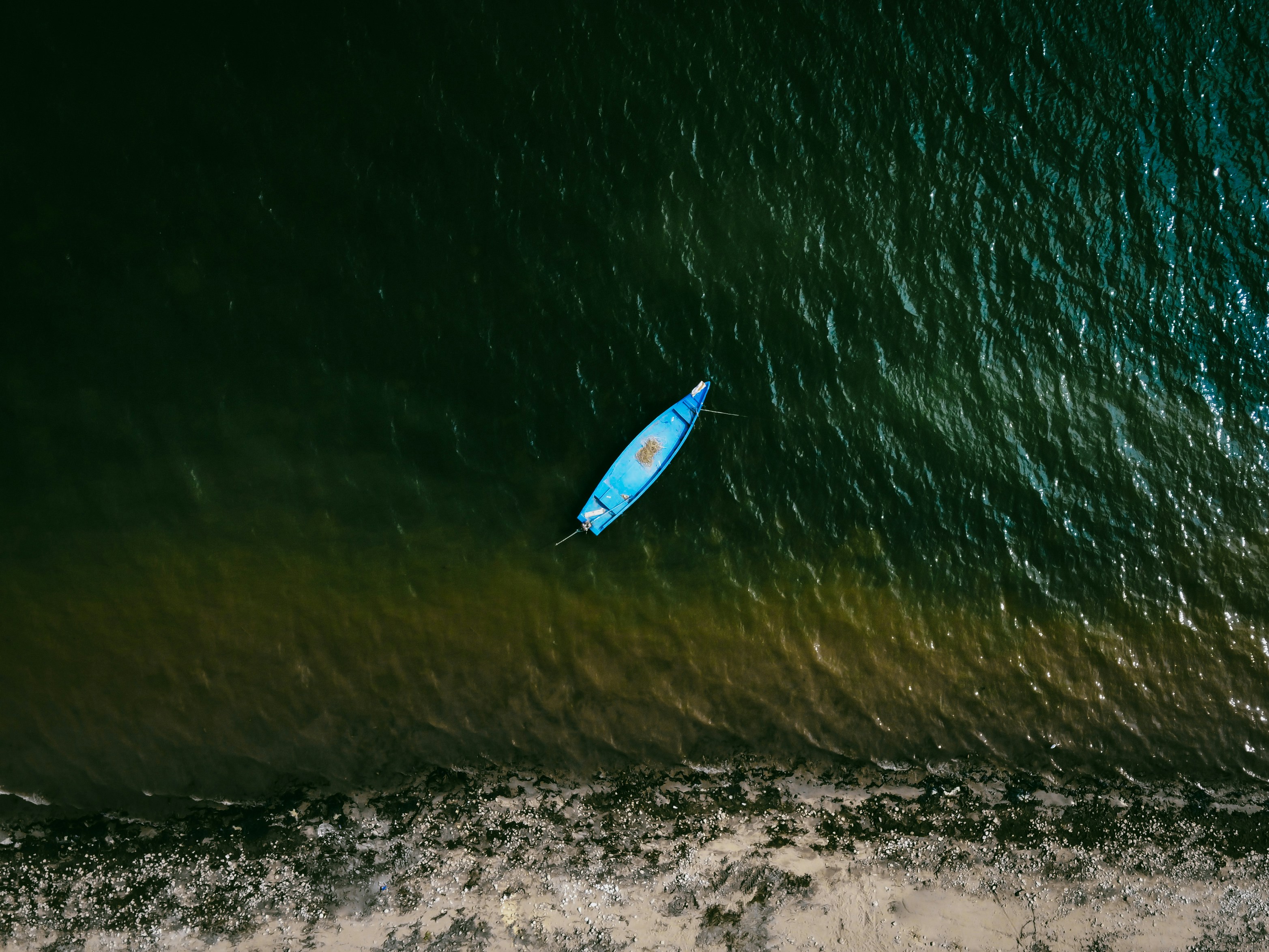 Photo by thepixelshot