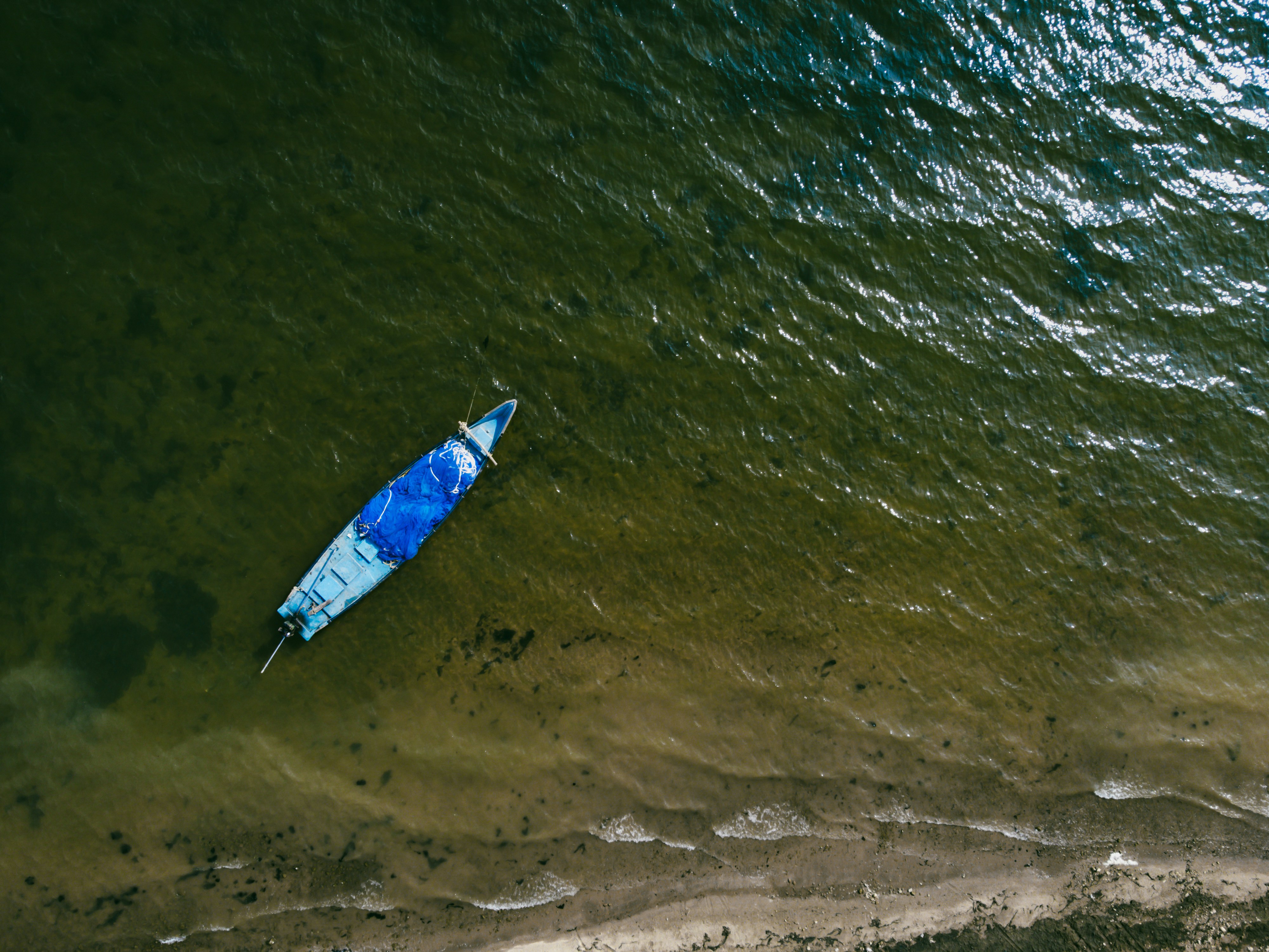 Photo by thepixelshot