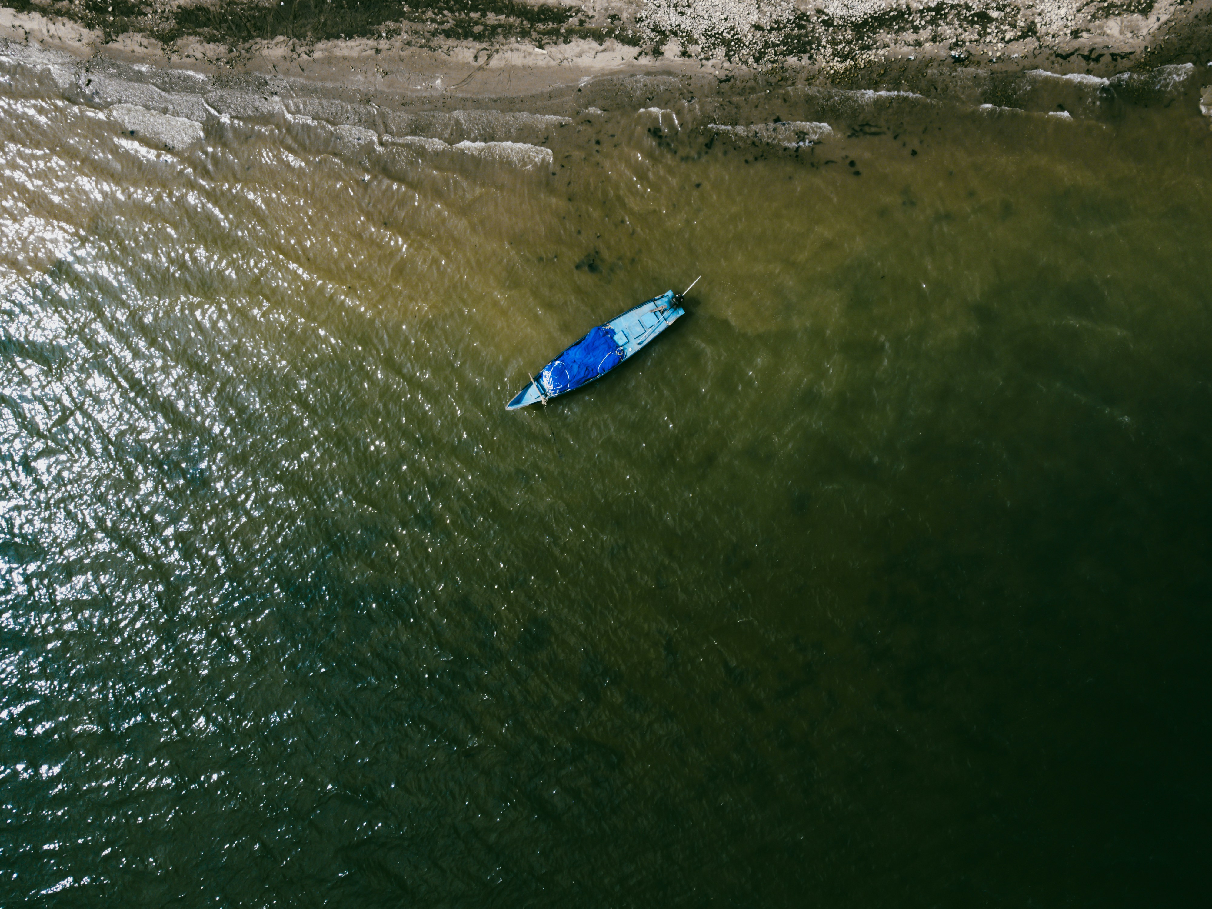 Photo by thepixelshot