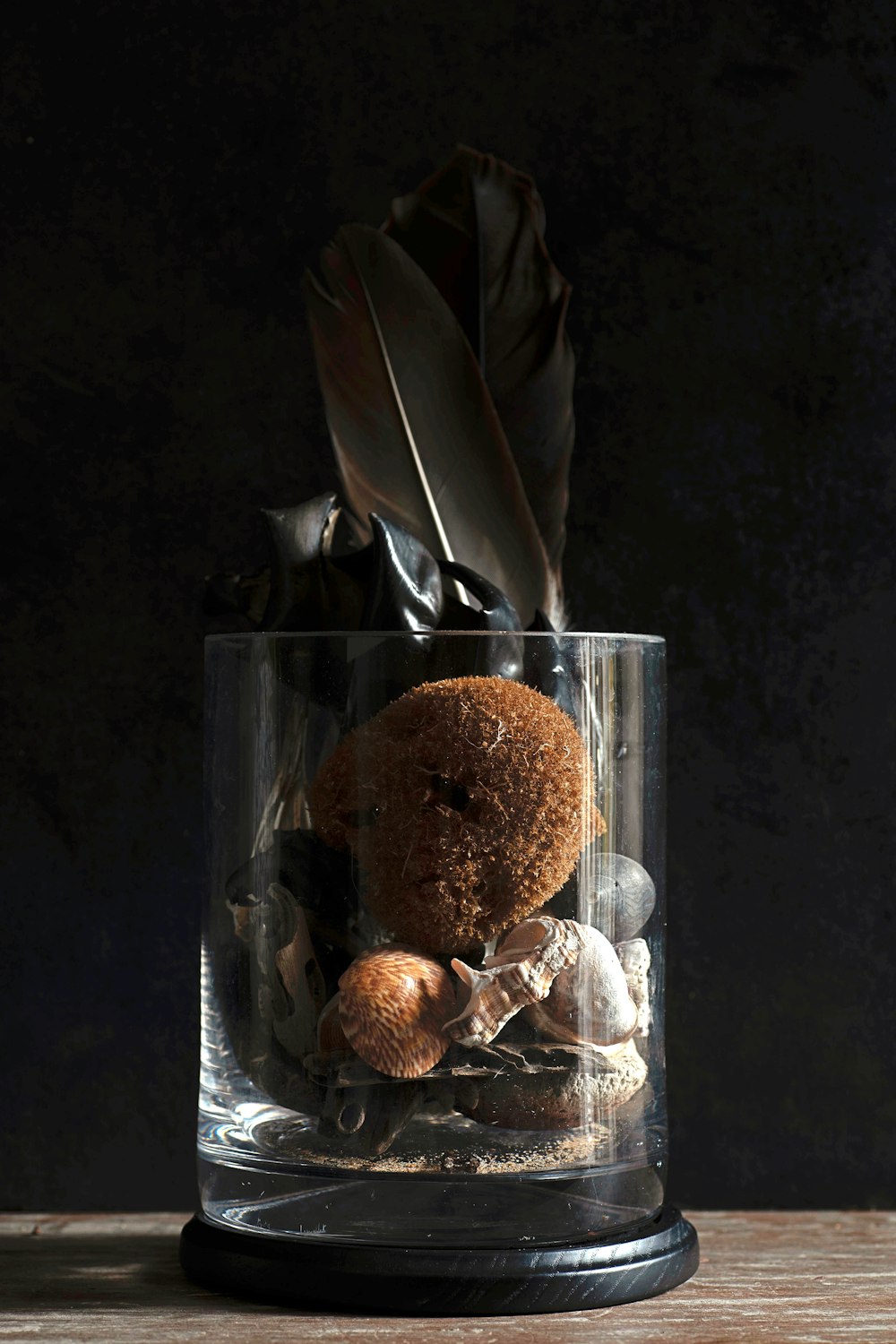 a glass jar with a brown object inside