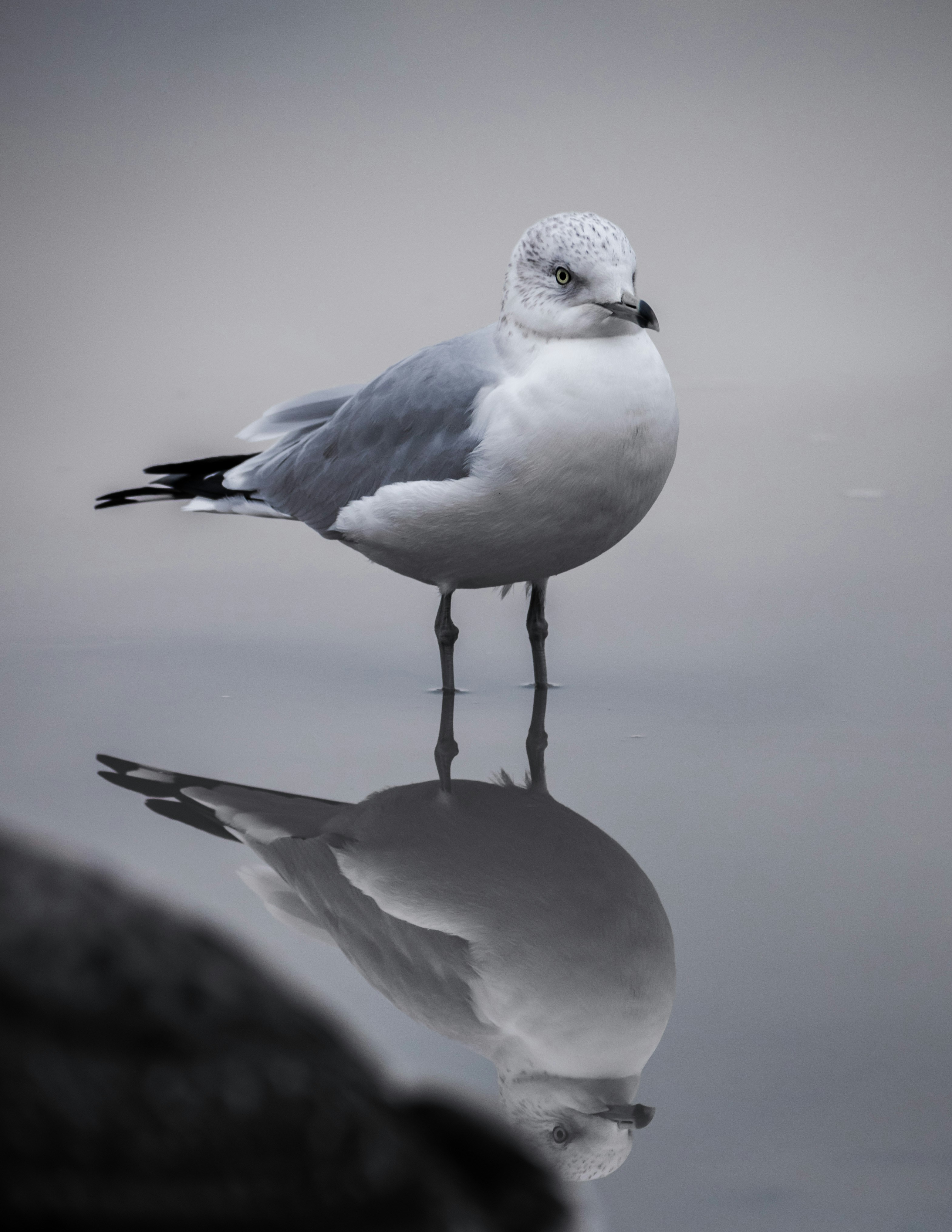 Photo by avillaalegria