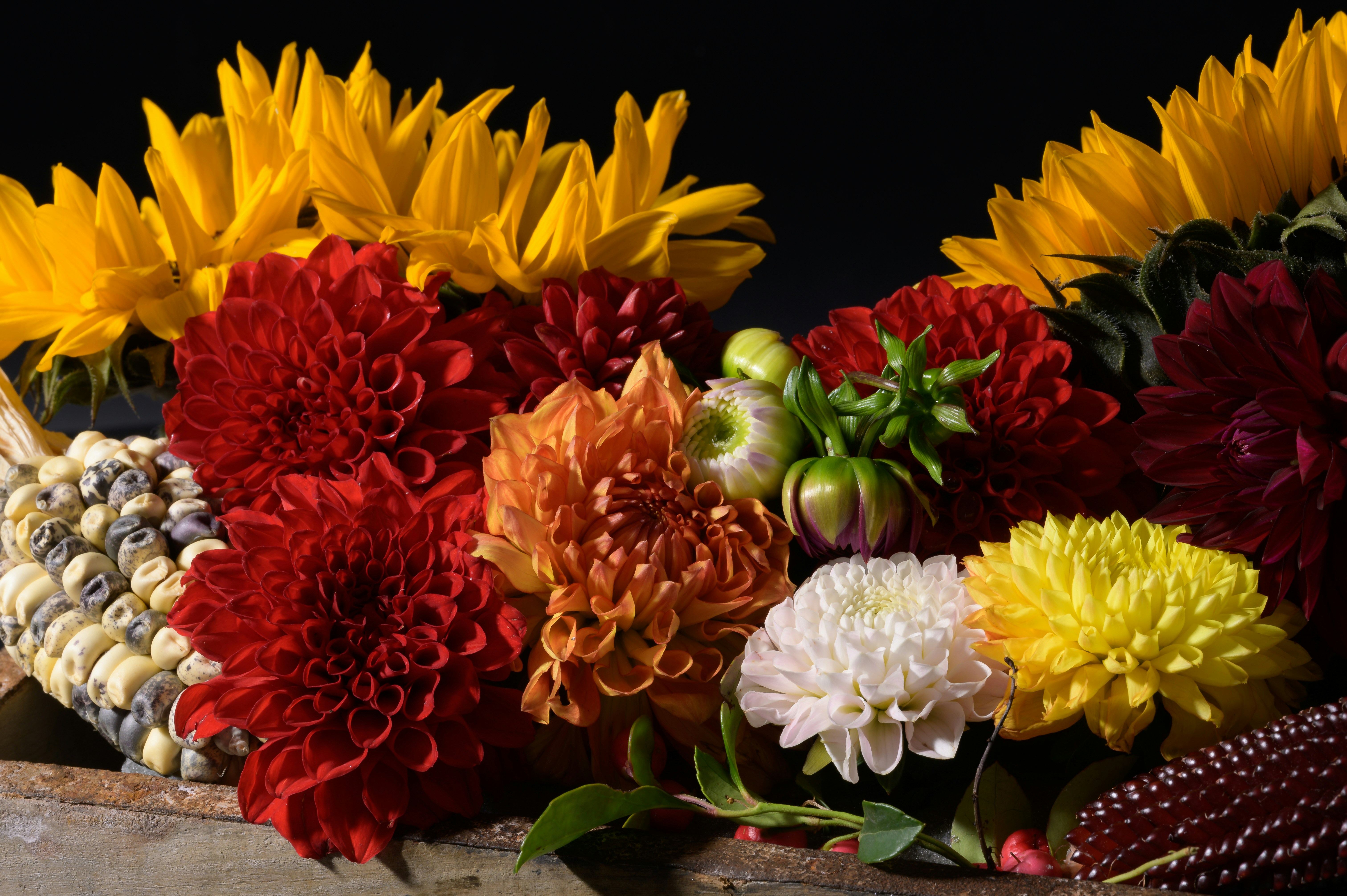 Photo by hans_leuzinger