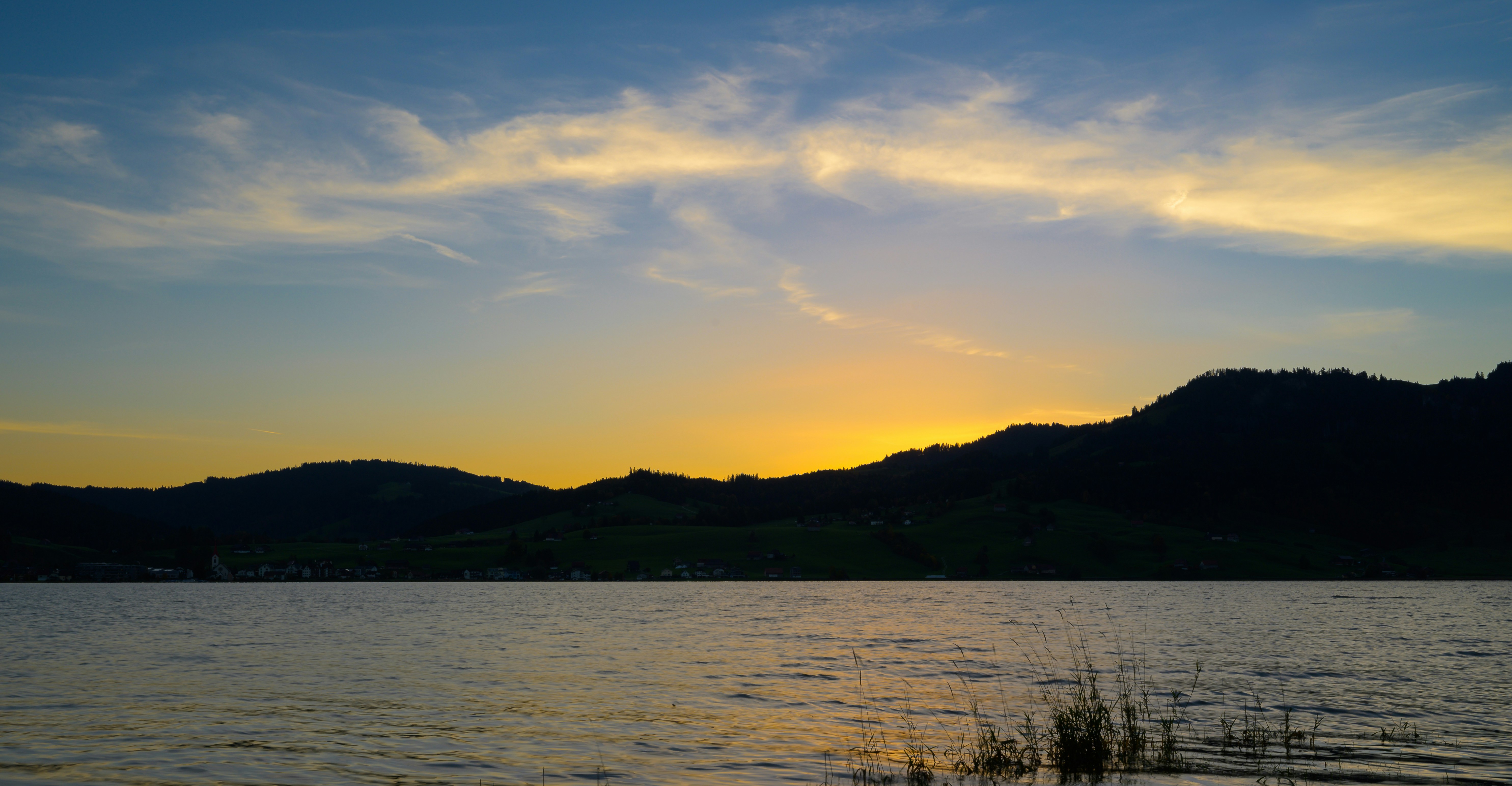 Photo by hans_leuzinger