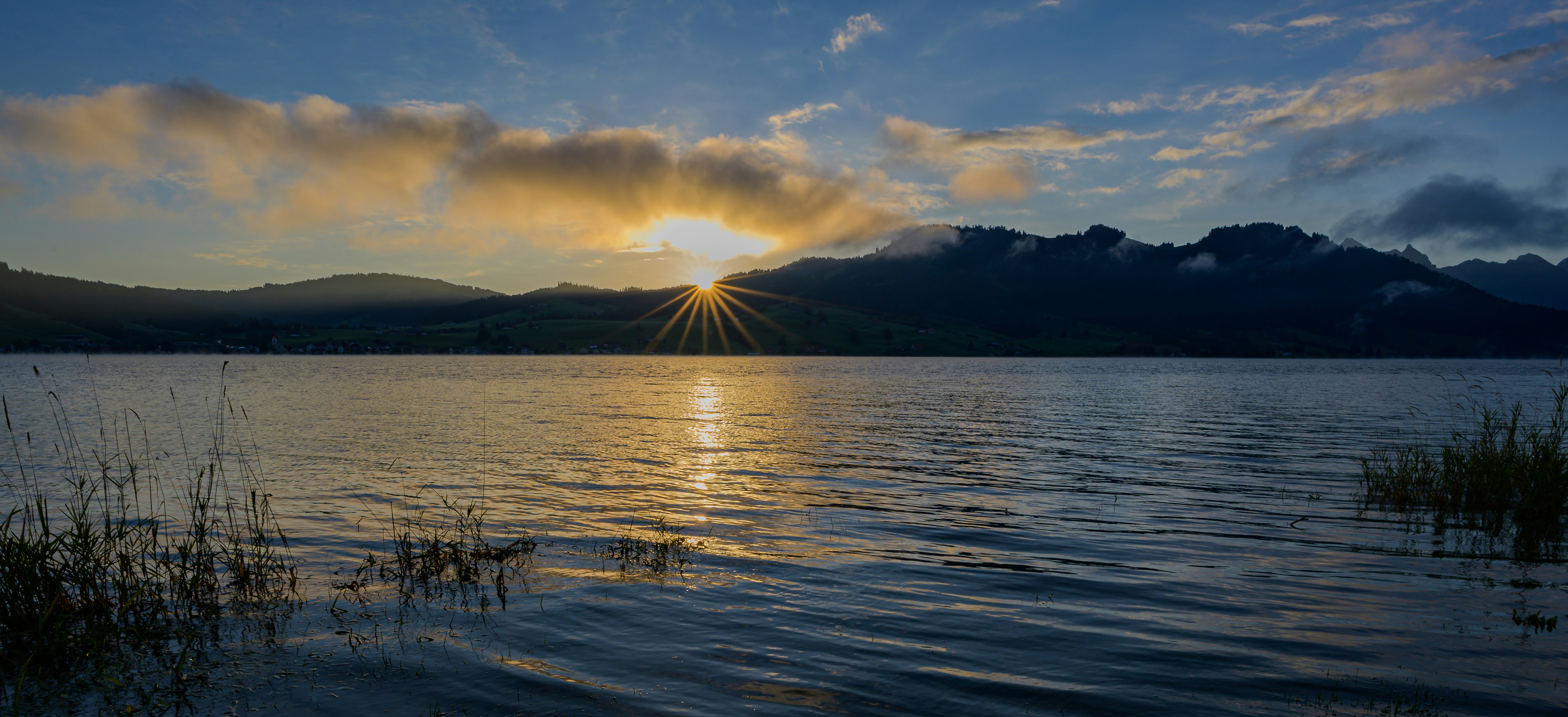 Photo by hans_leuzinger